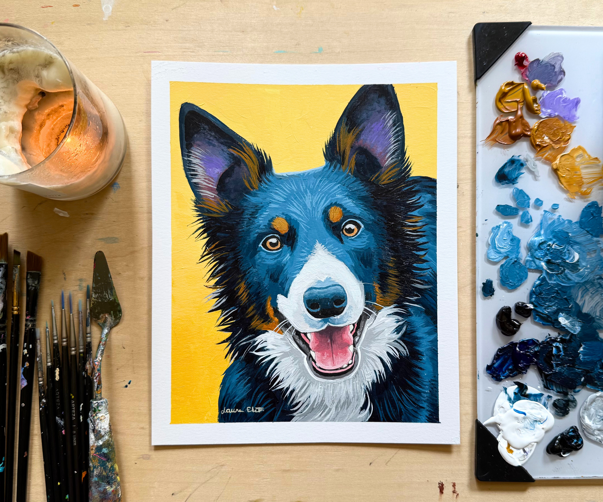 Border Collie for Positive Relaxation.