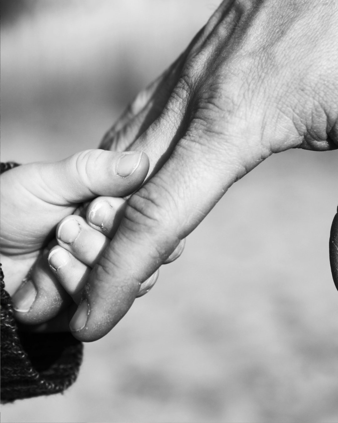 The Hidden Driver in Most Boardroom Battles? Unmet Childhood Needs&nbsp;