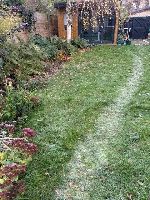 Why can’t I stop doing that?