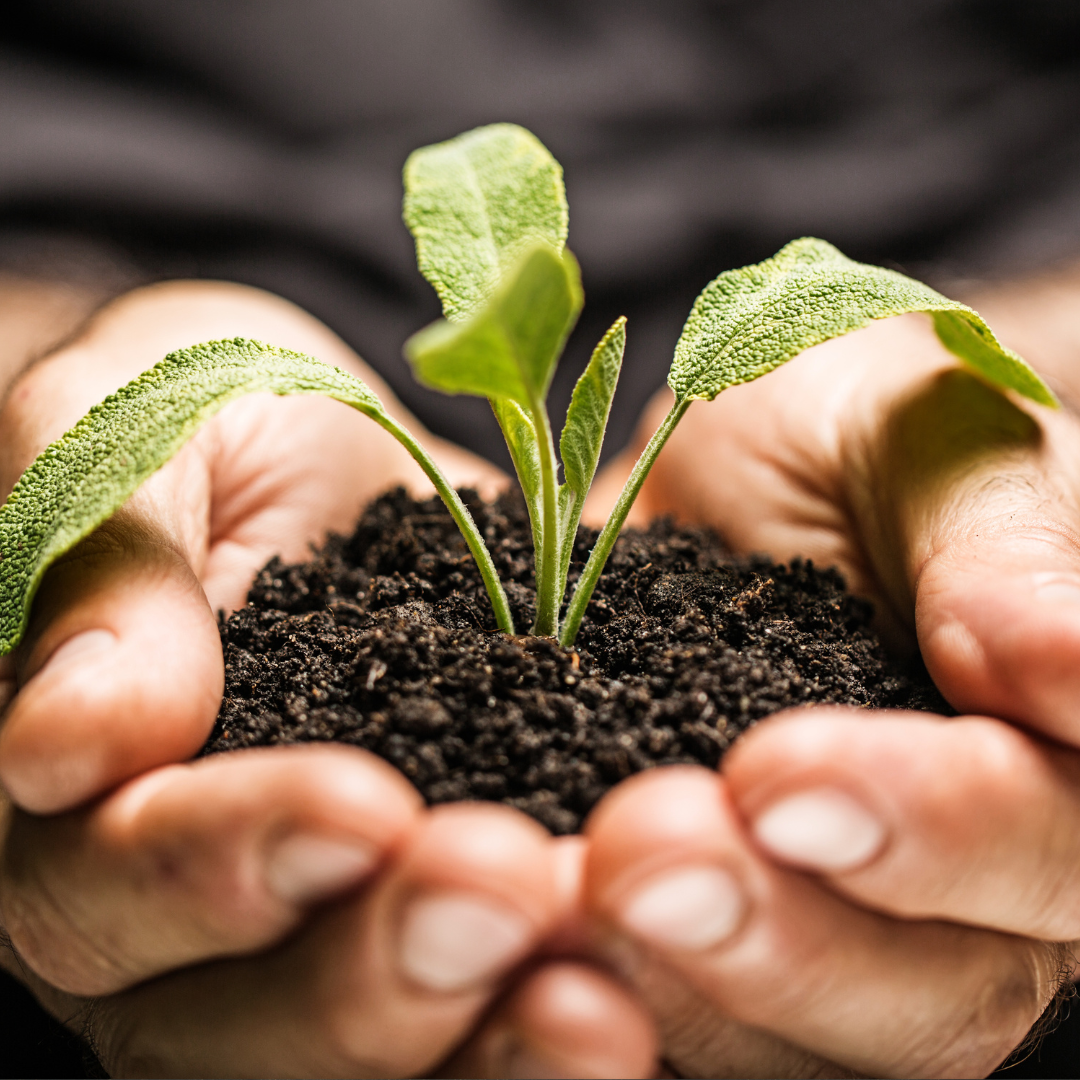 Why do some people get therapy, and others don’t?