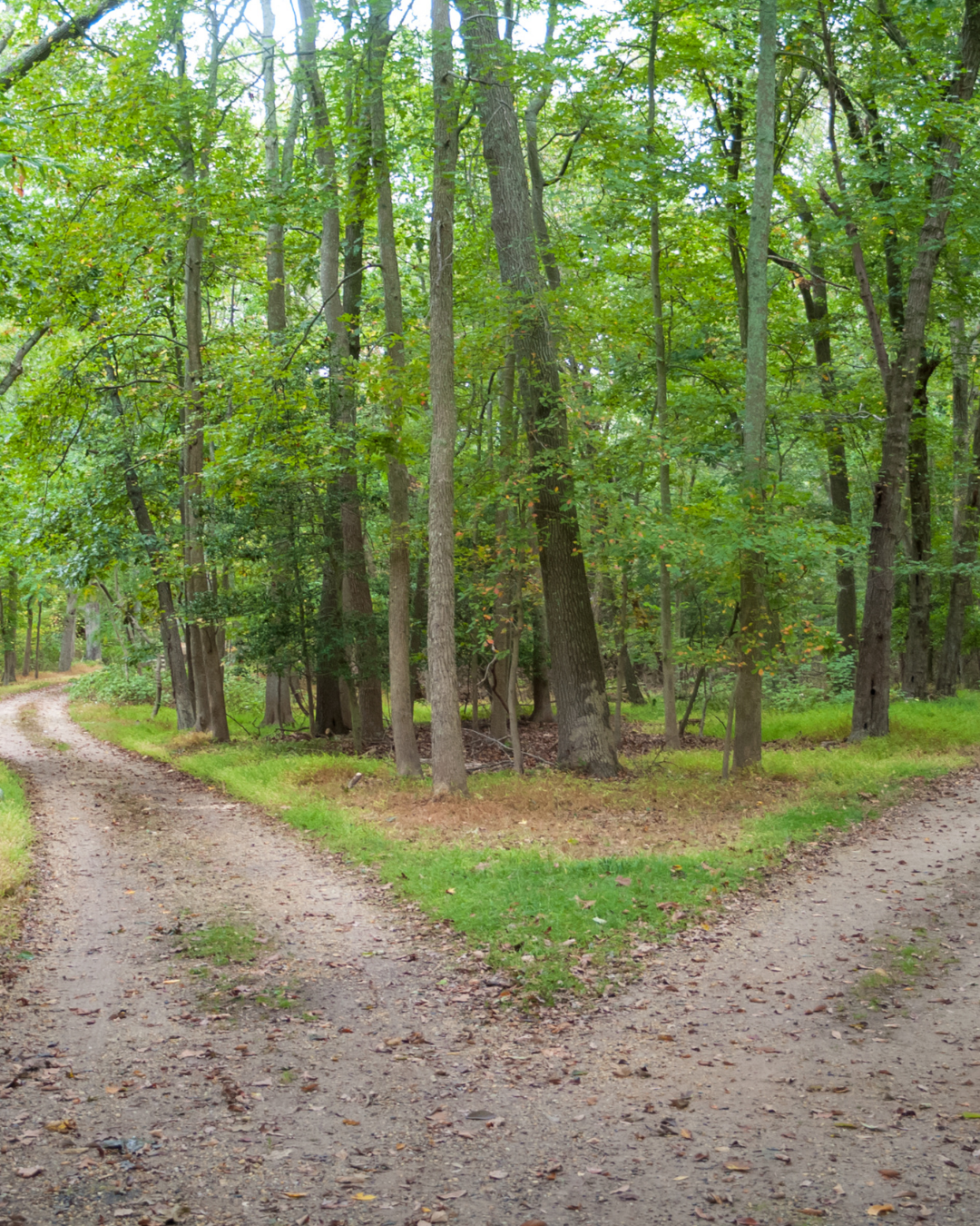 When You’ve Outgrown Being the Fixer — But Don’t Know Who You Are Without It&nbsp;