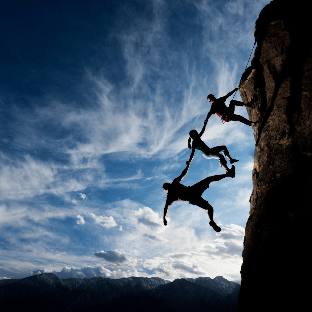 Trust in leadership teams and workplace relationships