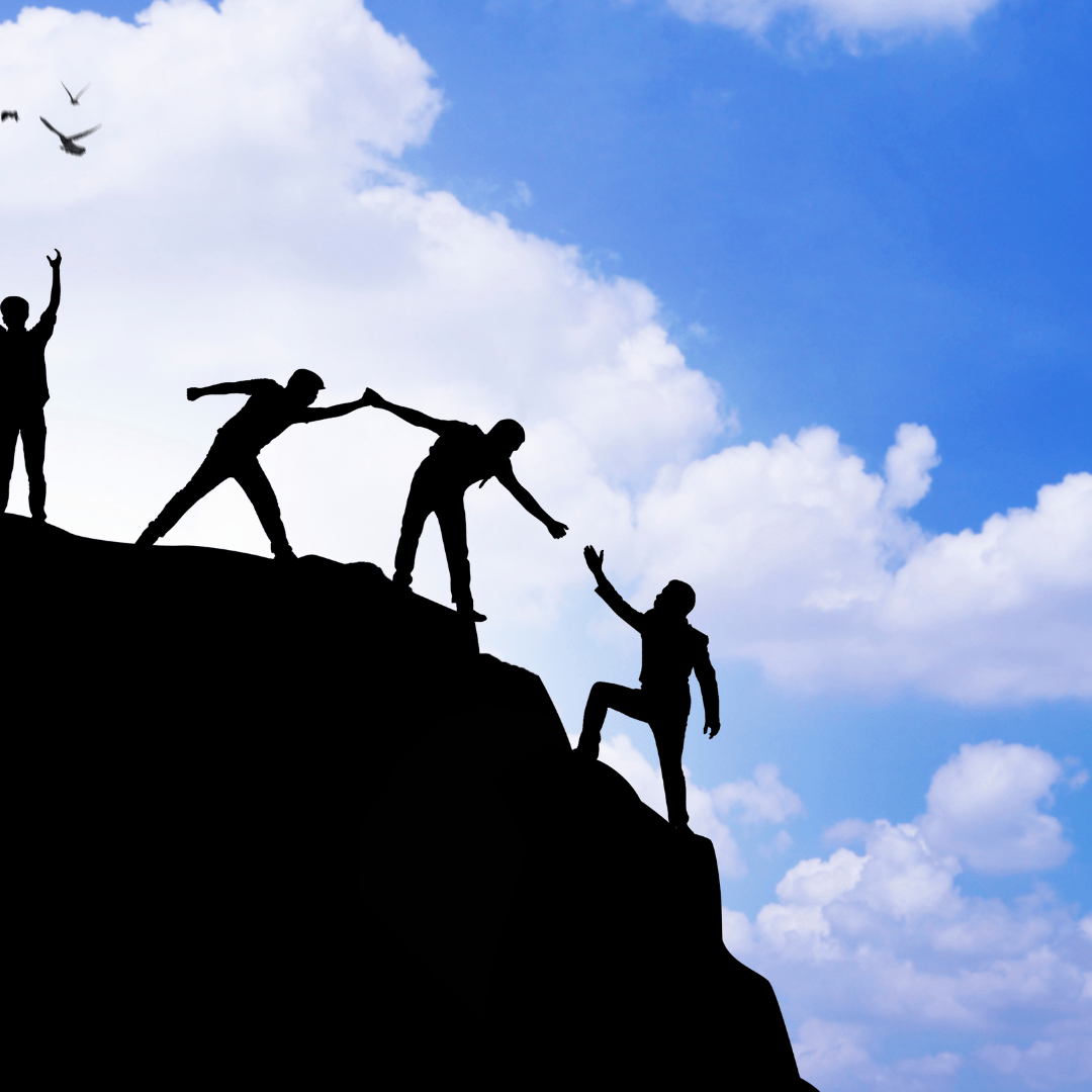 Leadership and culture driving profit and performance