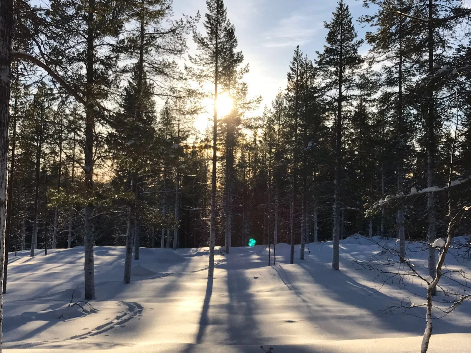 Leadership coaching and executive coaching for leaders and business owners experiencing disconnection, improving clarity, communication and decision-making under pressure