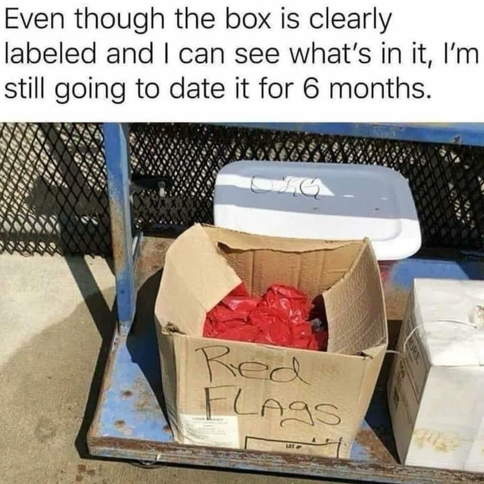Mari Williams client text with photo of a box of red flags. Caption reads 'even though the box is clearly labelled and I can see what's in it, I'm still going to date it for 6 months'