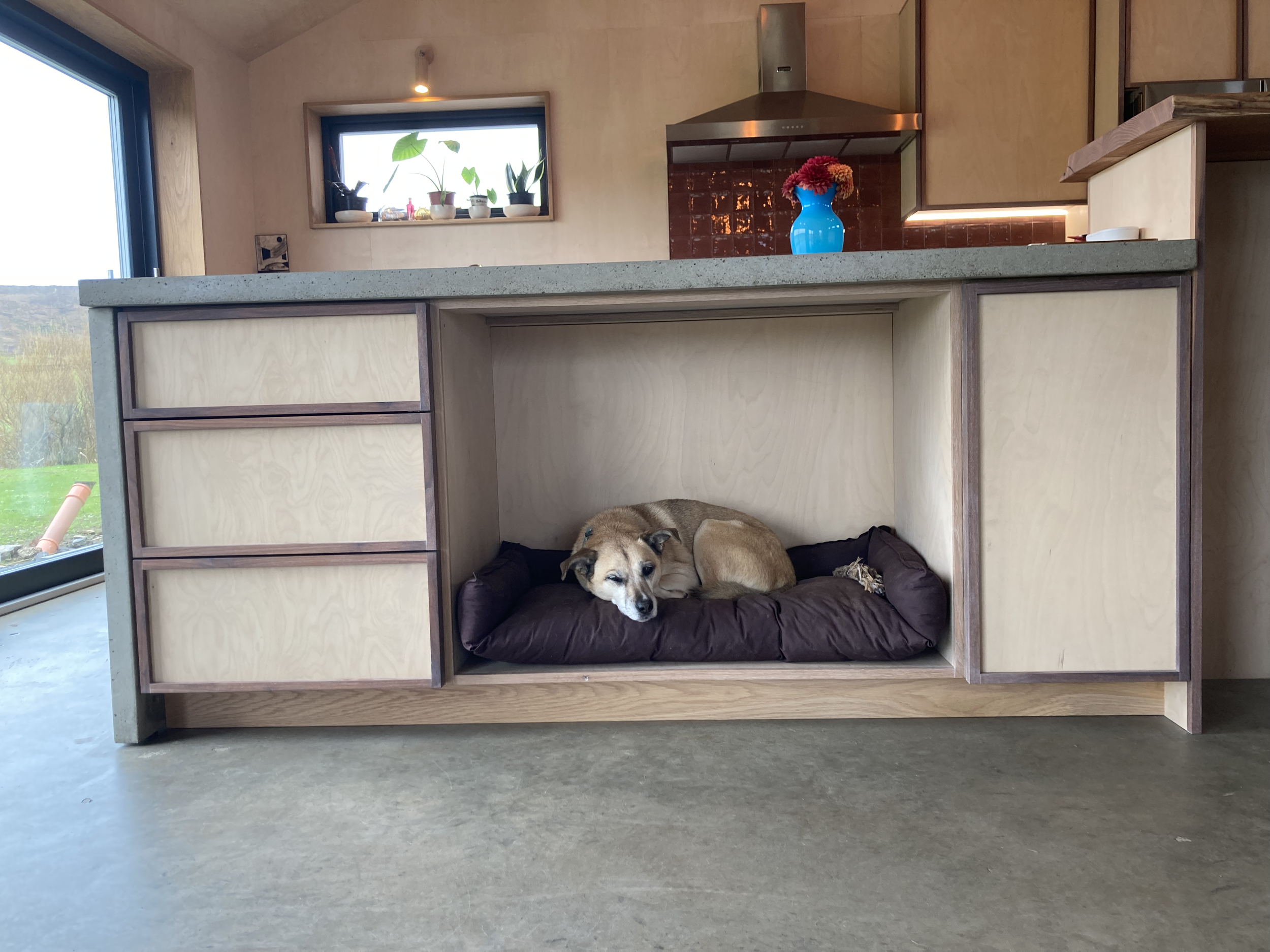 A dog lying on a brown dog bed inside a wooden kitchen cabinet or enclosure.