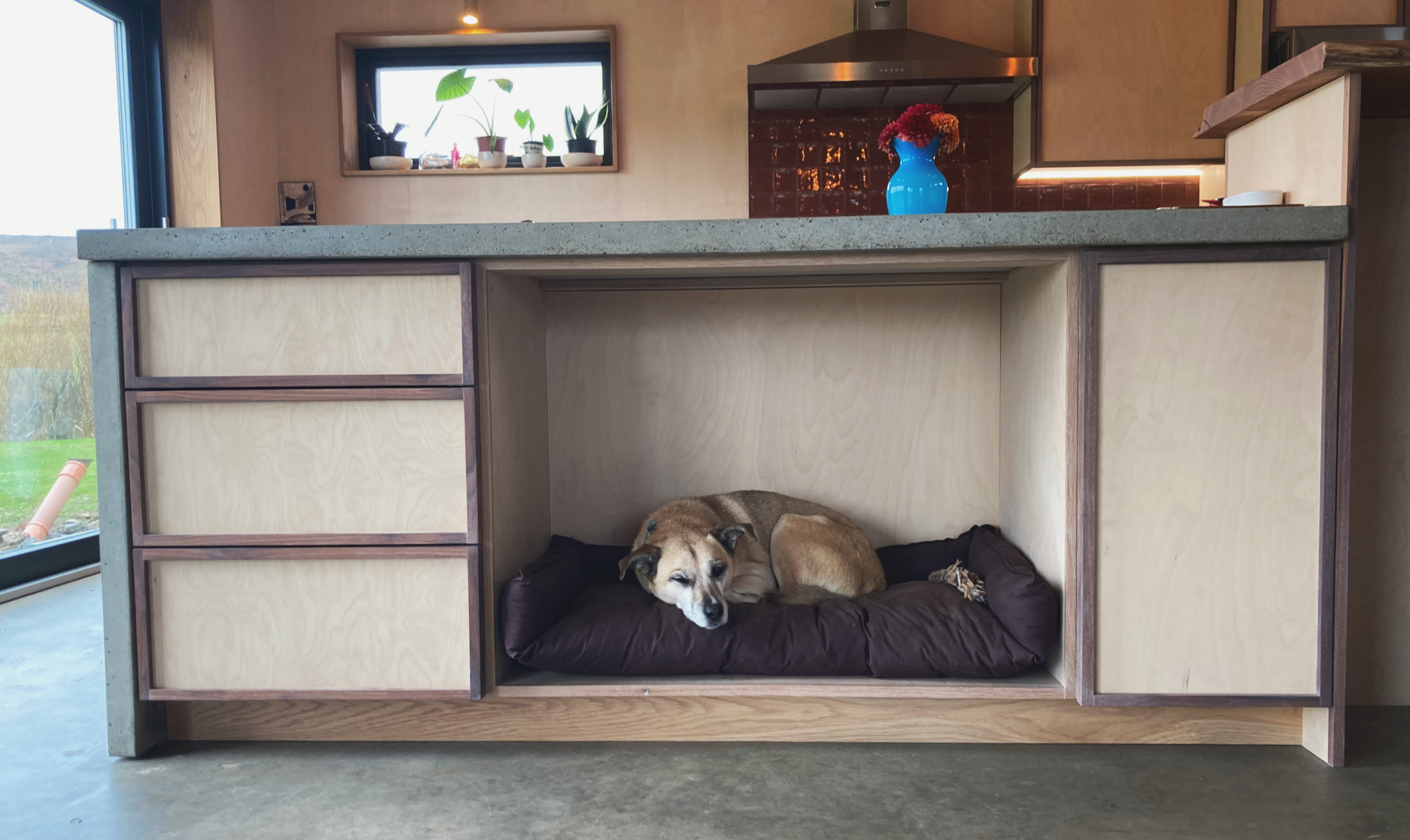 Kitchen Cabinet with Custom Alcove