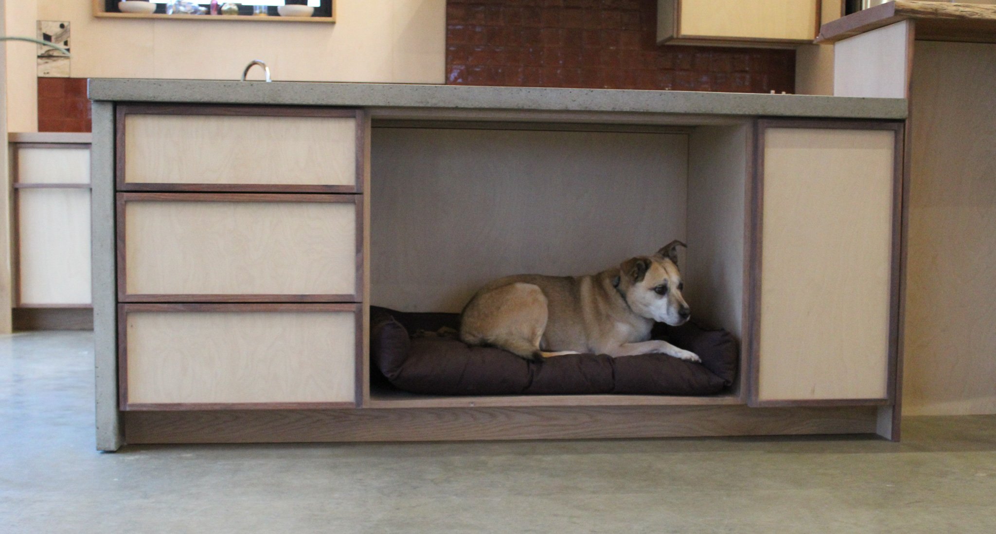 A small dog lying on a black cushion inside a cubical cutout of a wooden kitchen island or cabinet.