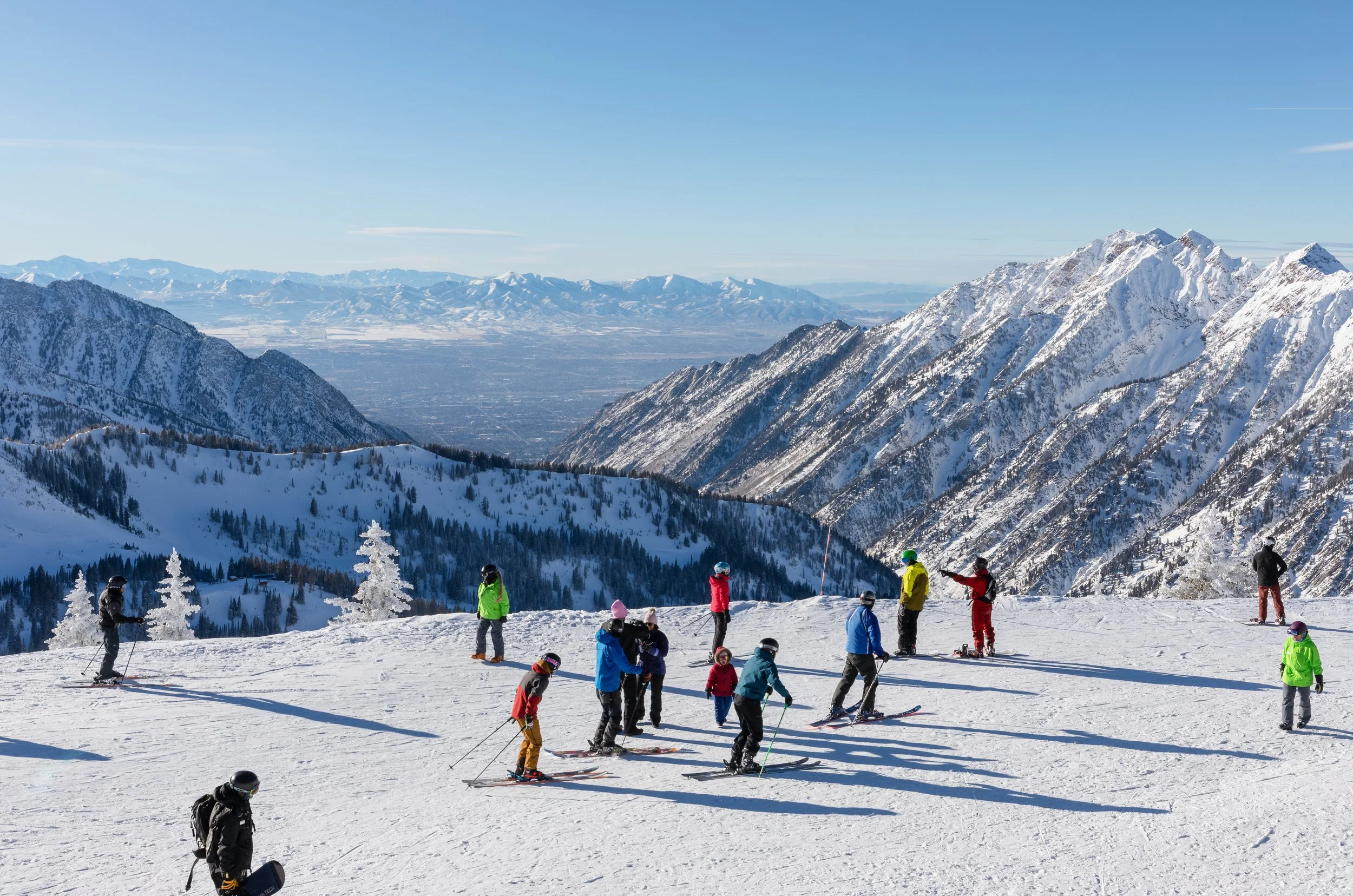 Group of people skiing on a snowy mountain slope with snow-covered trees and rugged mountain peaks in the background under a clear blue sky.