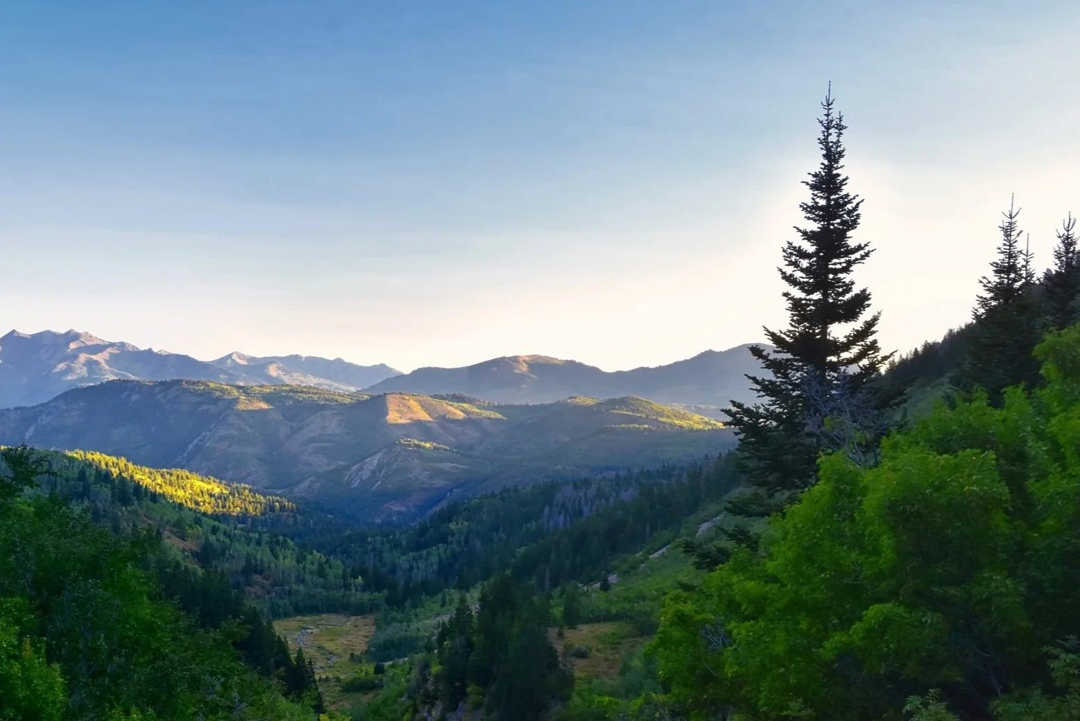 Wasatch Mountains