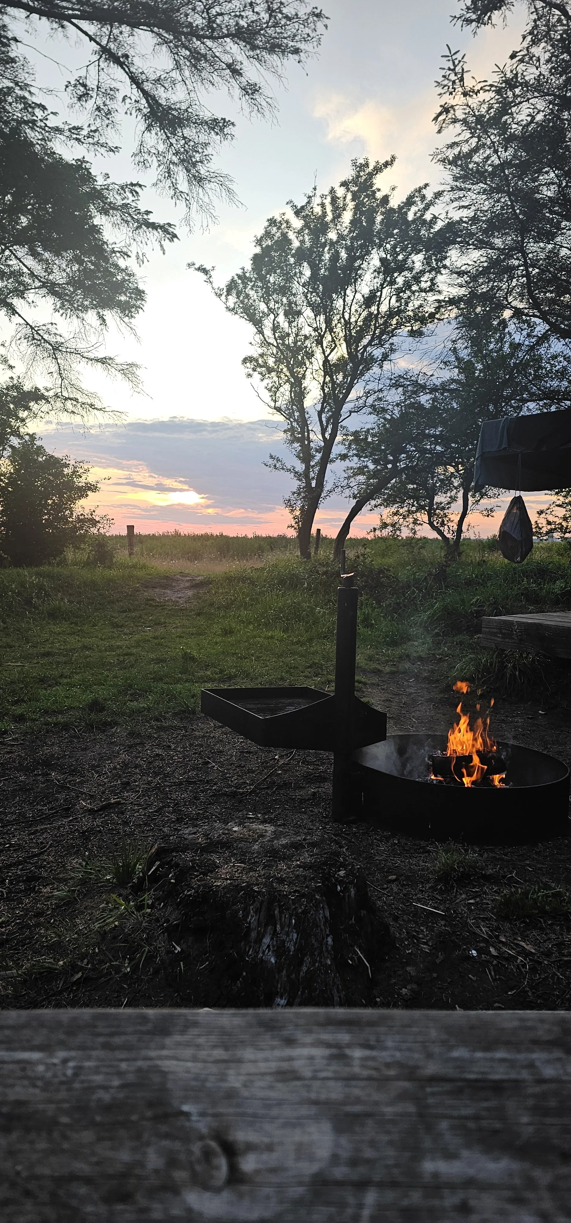 En fredelig udendørs scene med solnedgang, træer og en lejrbål med flammer, omgivet af græs og en sti.