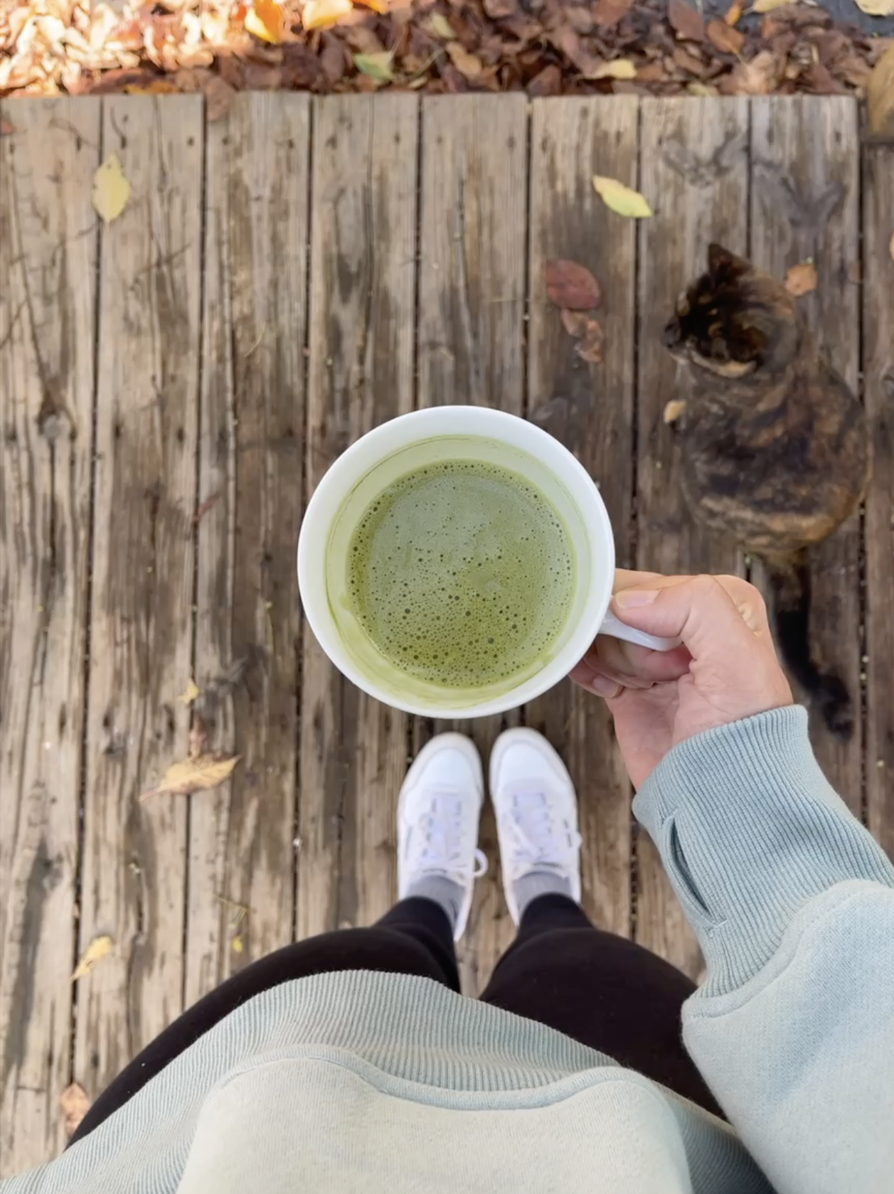 Top-down view of a person standing on a weathered wooden deck, holding a white mug of green tea or matcha. The person is wearing a light gray sweatshirt, black pants, and white sneakers. Next to them, a brown and black tabby cat is laying on the deck, partially obscured by fallen leaves.