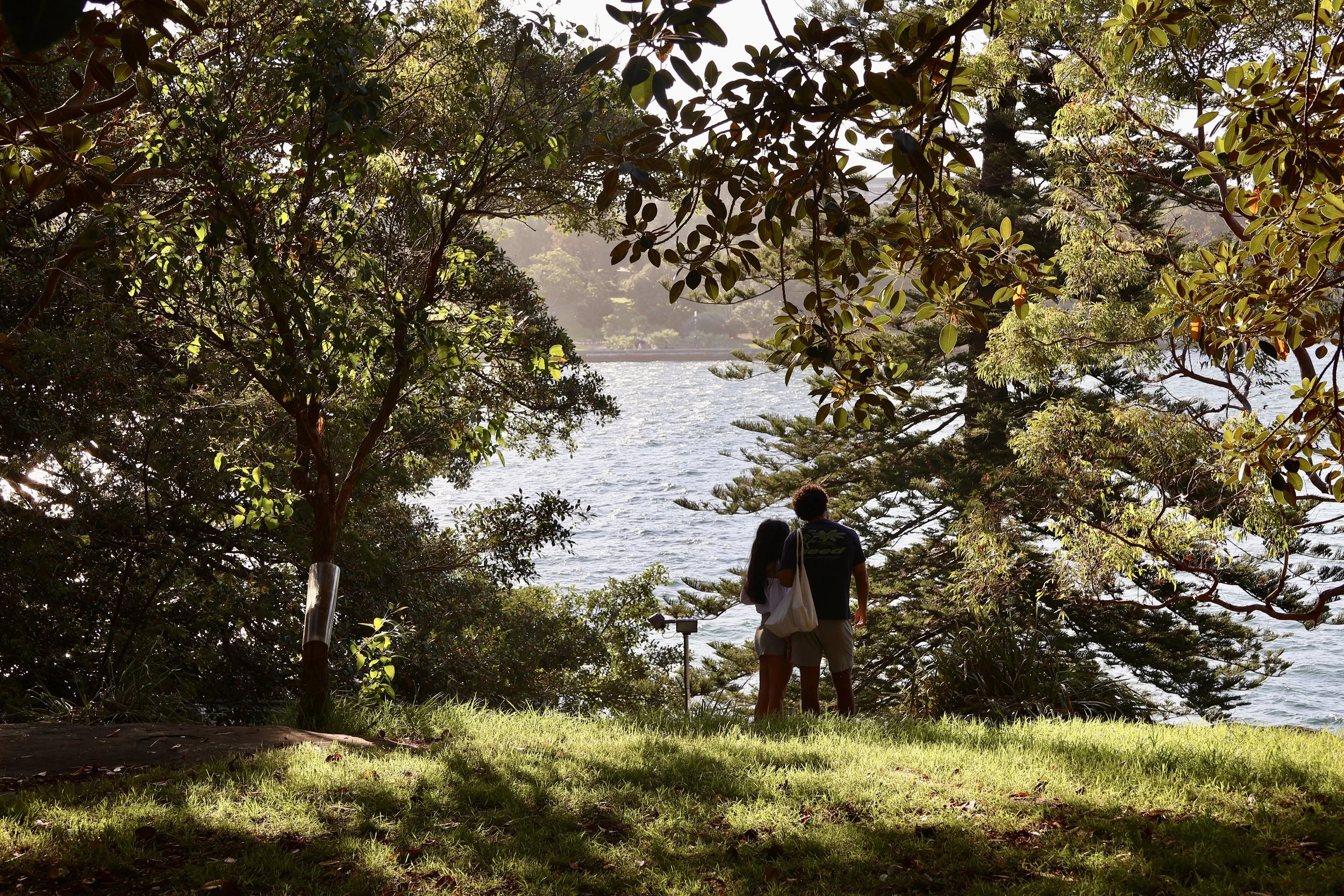 A couple stands near the Sydney harbour, surrounded by trees and greenery, with their backs to the camera, enjoying the scenery.