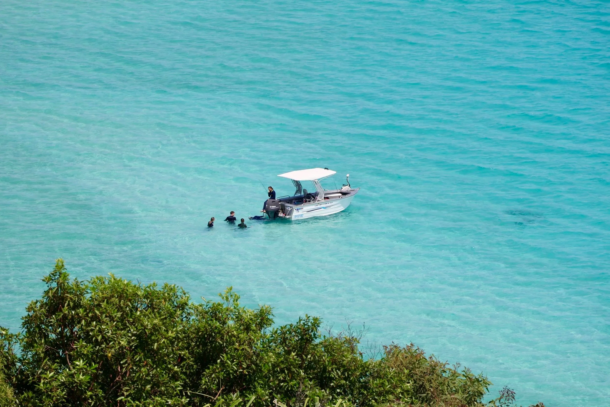 People swimming near a white motorboat in clear turquoise water at the Whitsunday Islands, Australia
