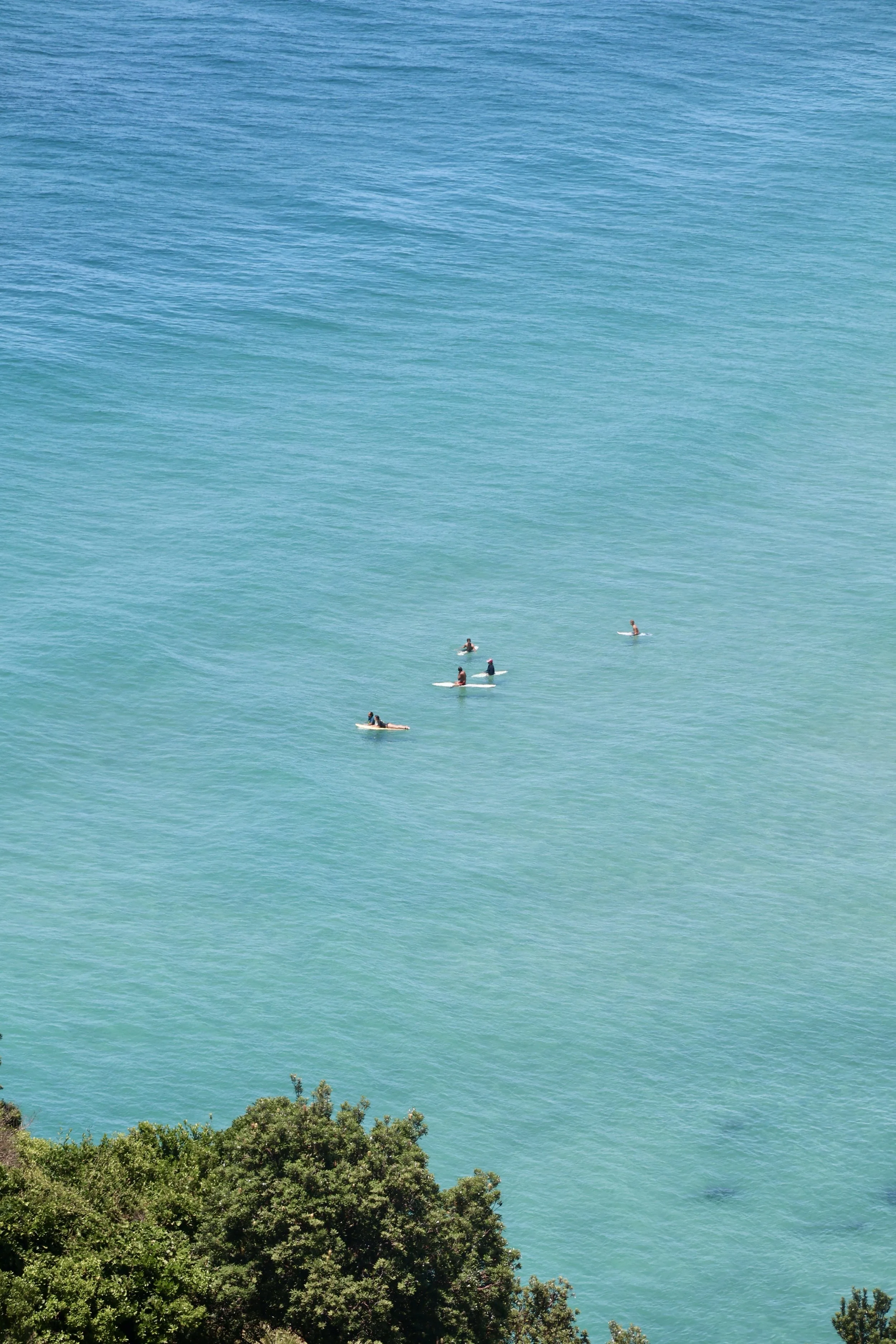 Four surfers on their boards floating in turquoise ocean water near green trees.