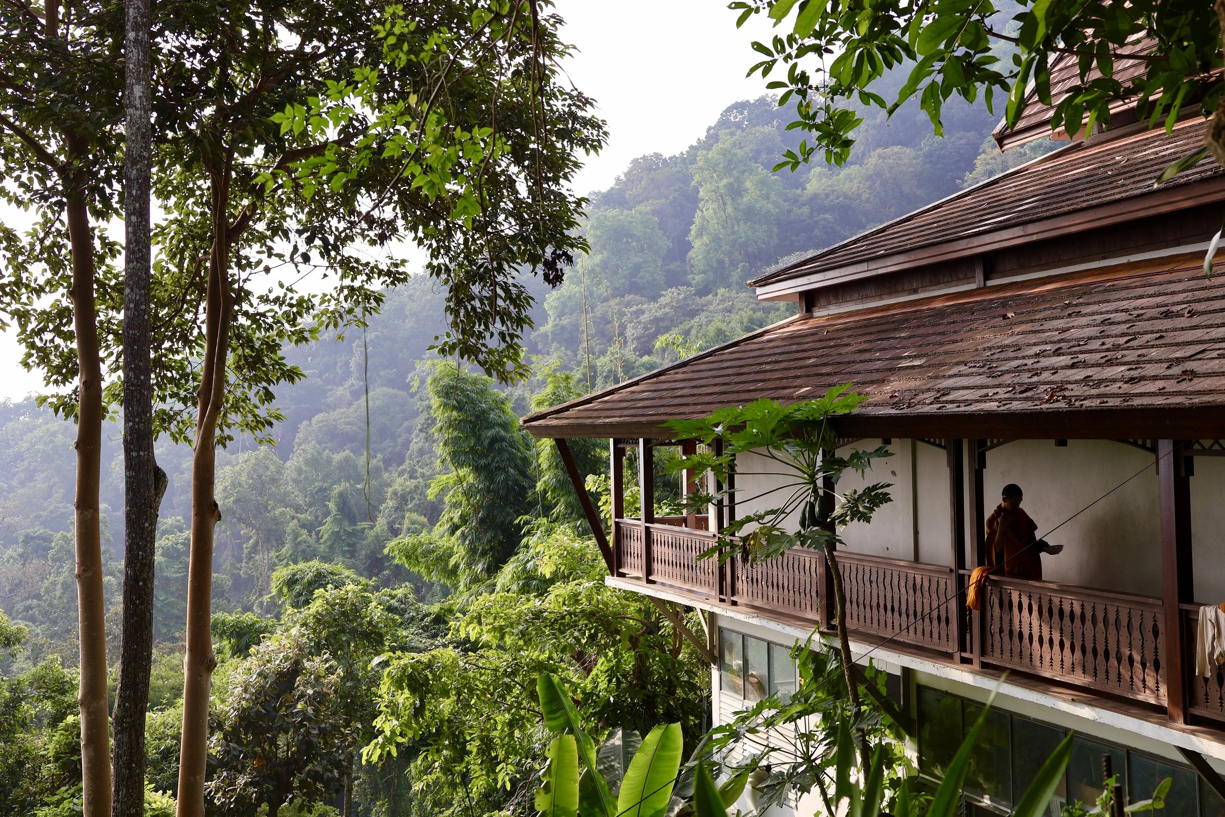 A balcony of a wooden house surrounded by lush green trees, with a person standing inside the balcony.