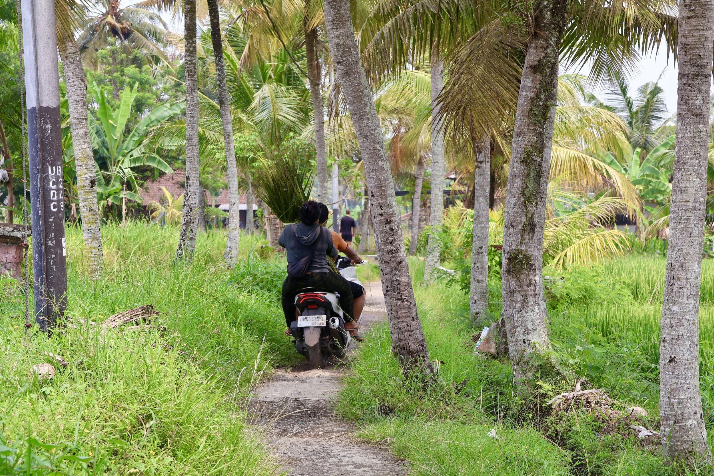 A woman riding a scooter on a narrow dirt path surrounded by lush green grass and tall palm trees in a tropical setting.