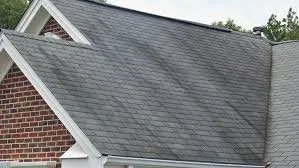 Black Streaks on Your Roof? Here's What They Really Are (And Why Pressure Washing Won't Work) 