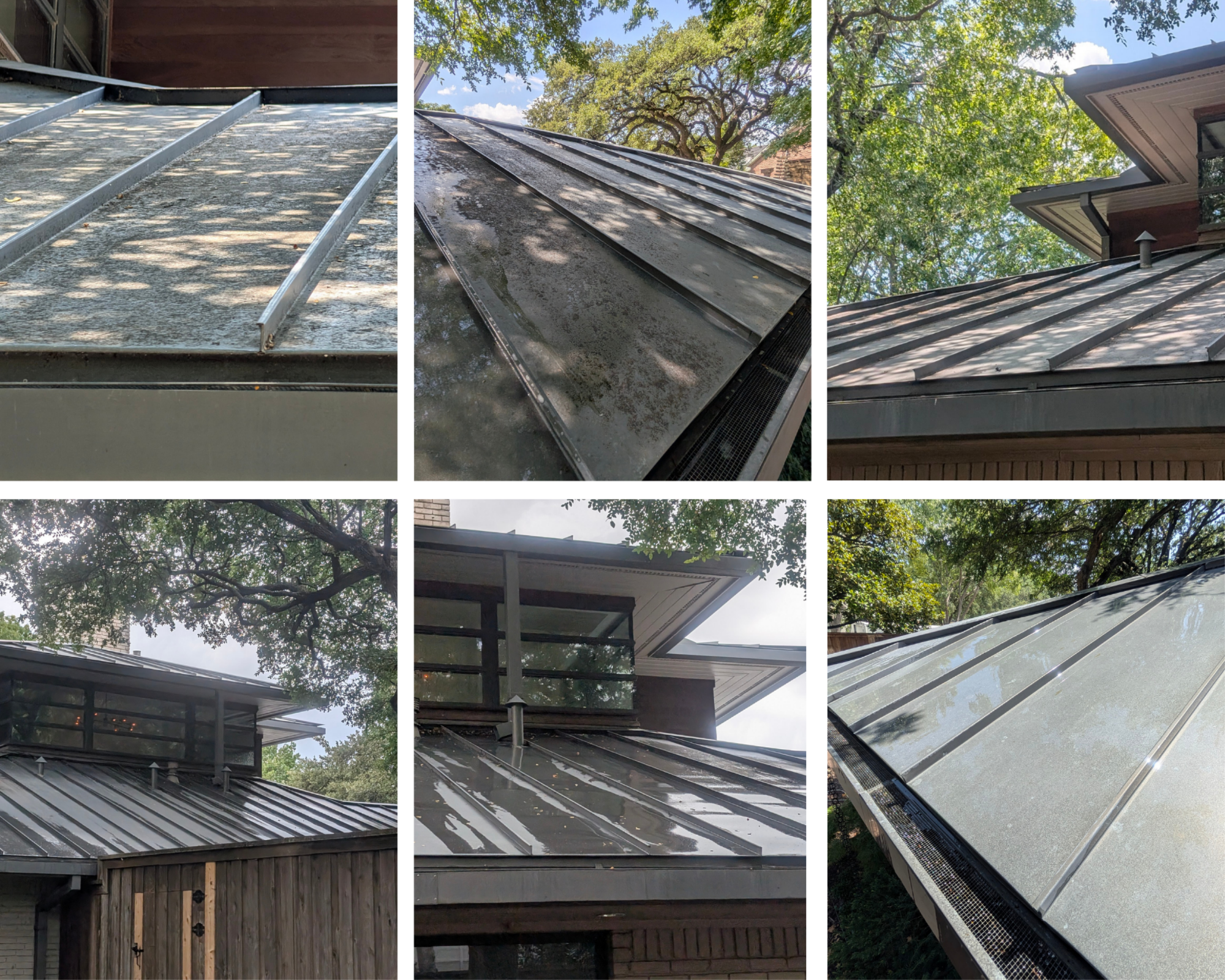 Heavy lichen and algae growth on metal roof cleaning