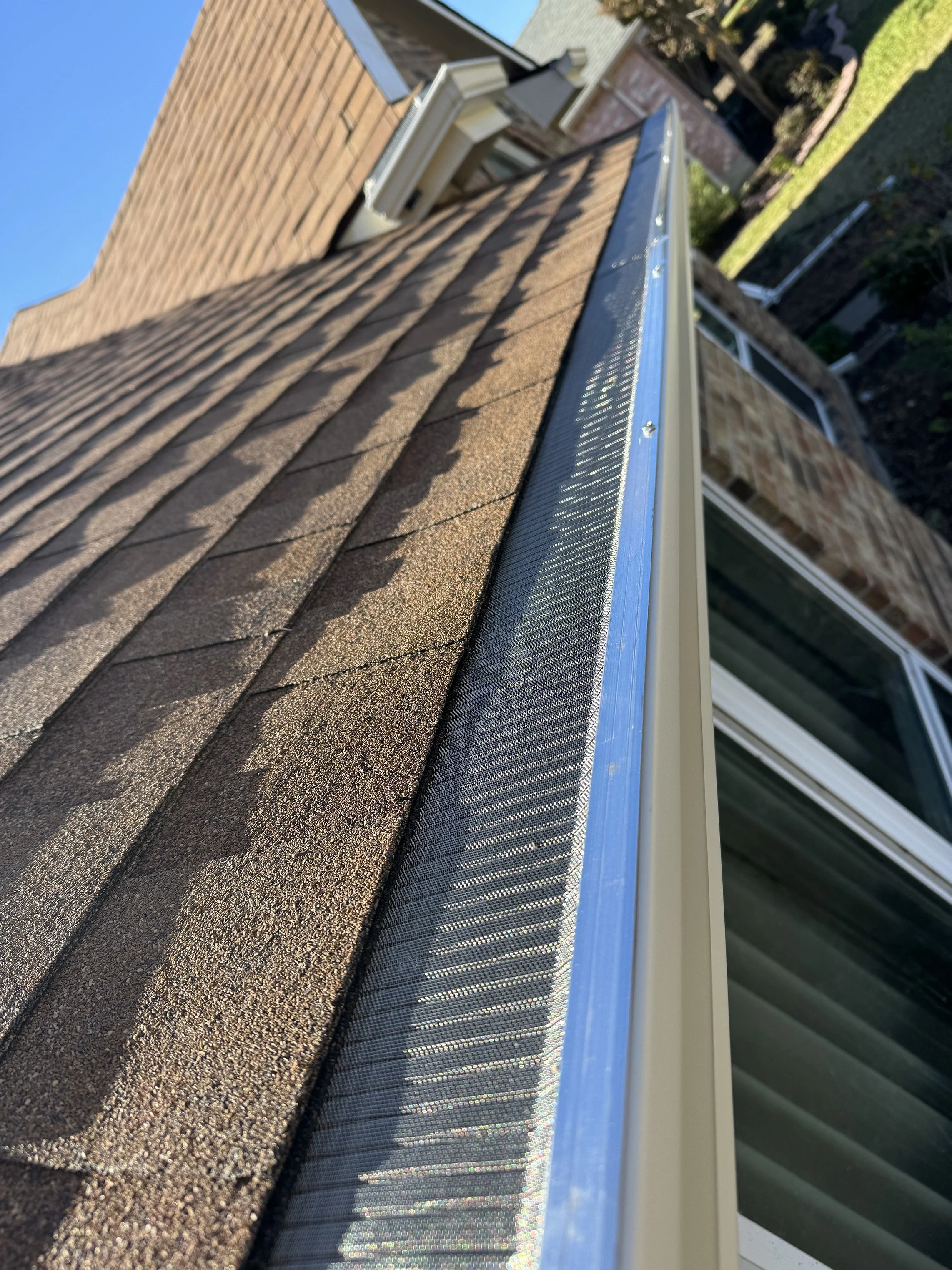 Photo Nov 22 2024, 11 54 21 AM.jpg