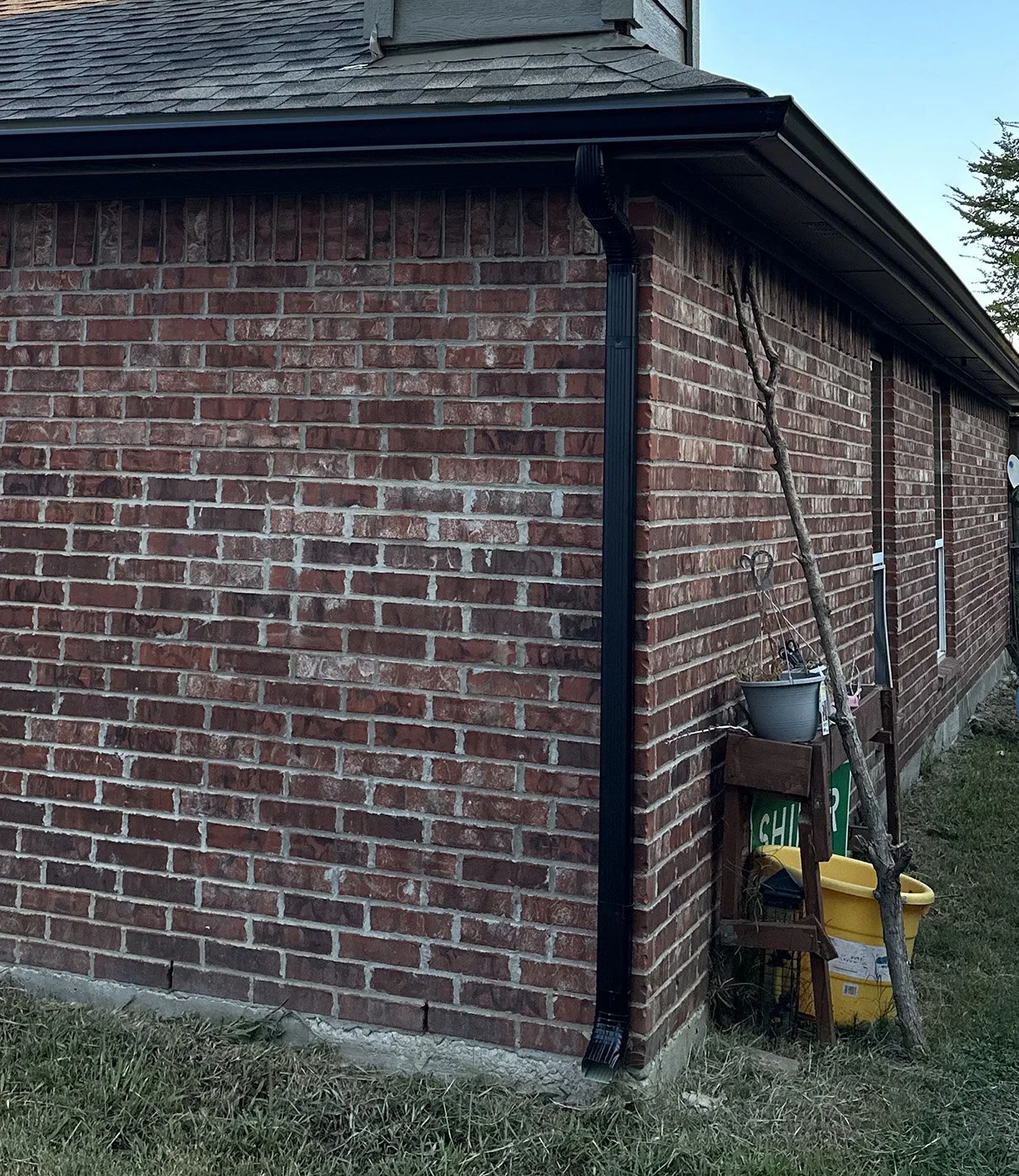 Photo Sep 20 2023, 7 59 48 AM.jpg