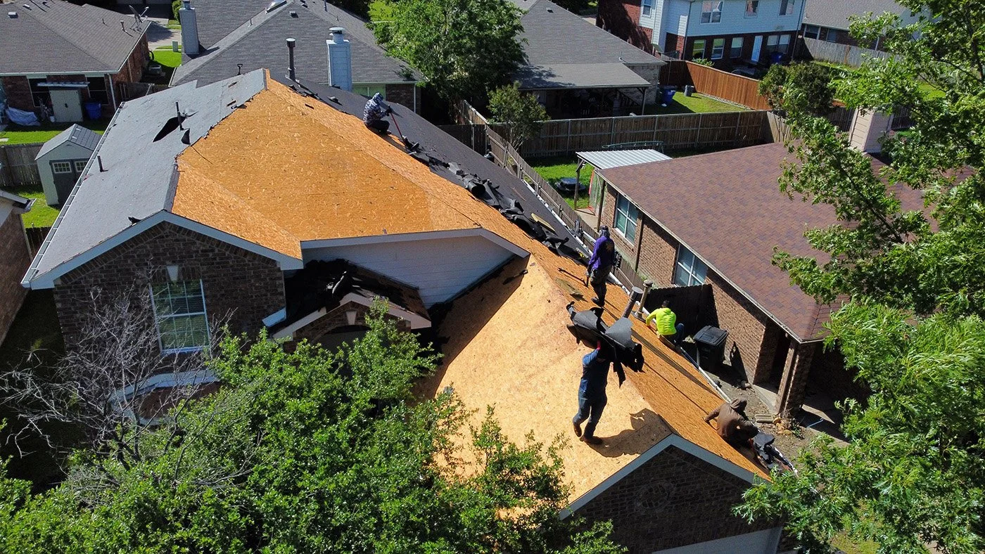 Photo May 10 2024, 10 11 17 AM.jpg