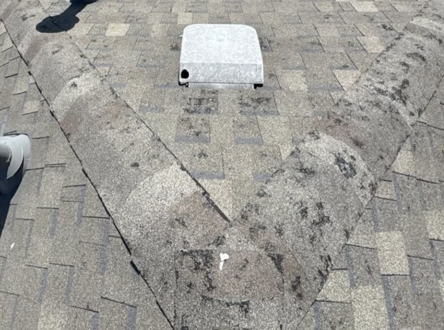 A damaged section of a brick-paved sidewalk with a patch of broken concrete, a small white object, and a metal cover in the middle of the sidewalk.