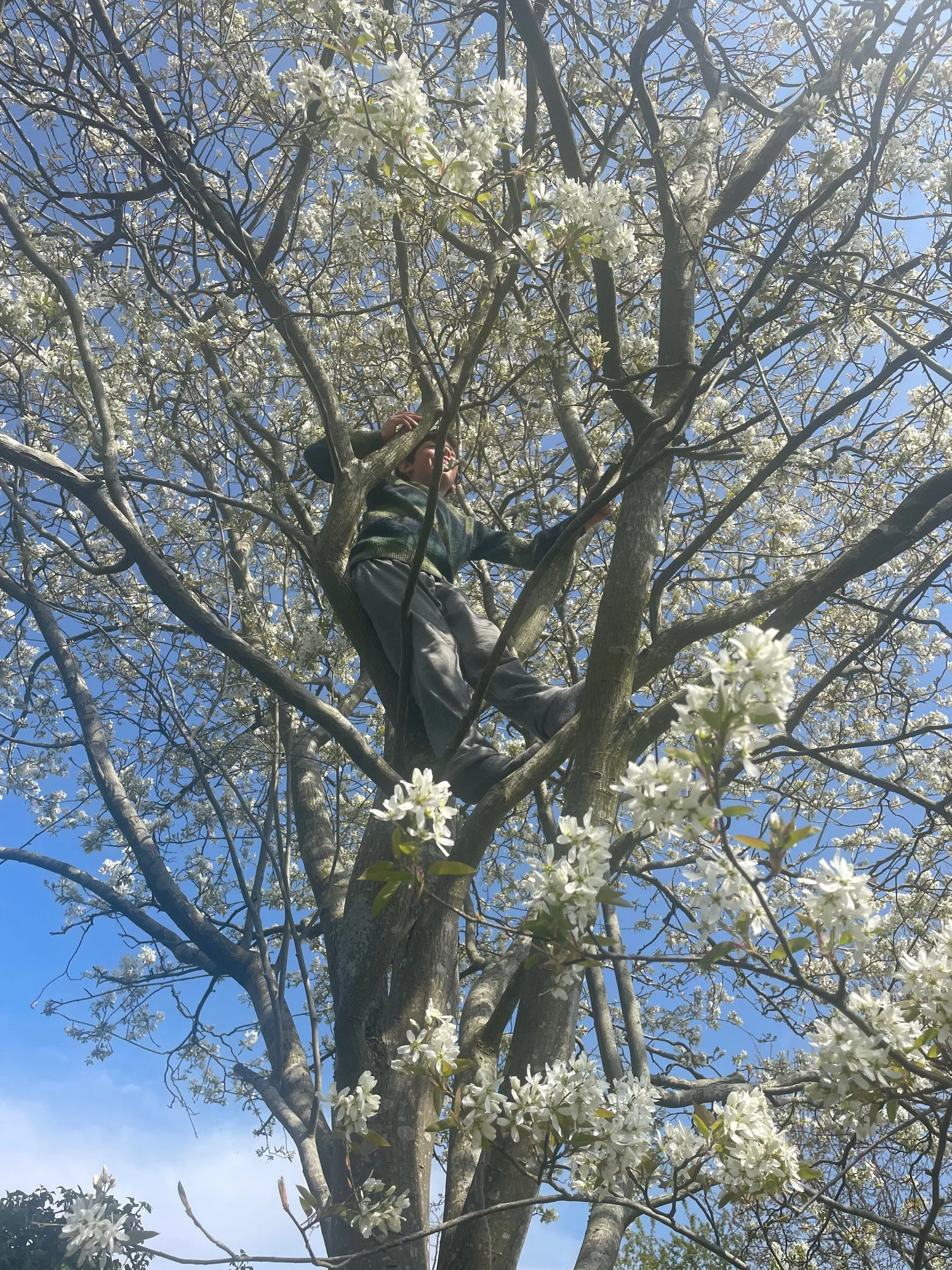 Jake, 8: Taken by Jake’s parent, who says:
As soon as my son is home from school he climbs up this tree and just stands in it watching the world go by. He was very excited the other day as a bird flew right next to his face and sat in the tree with h