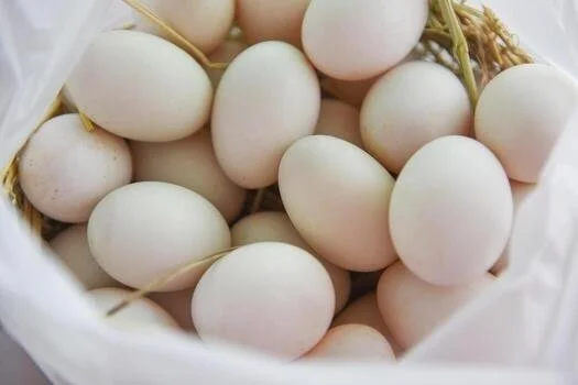 "TRULY Pastured" Duck Eggs