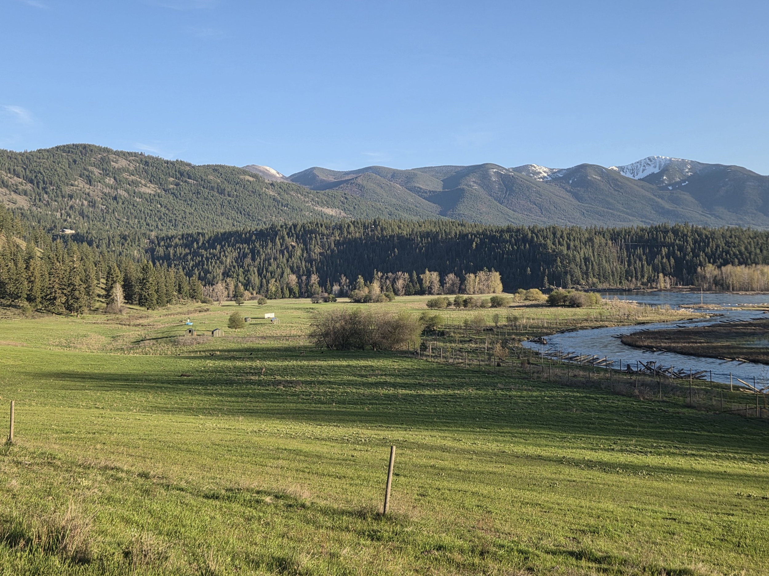 Welcome to Sweetgrass Ranch