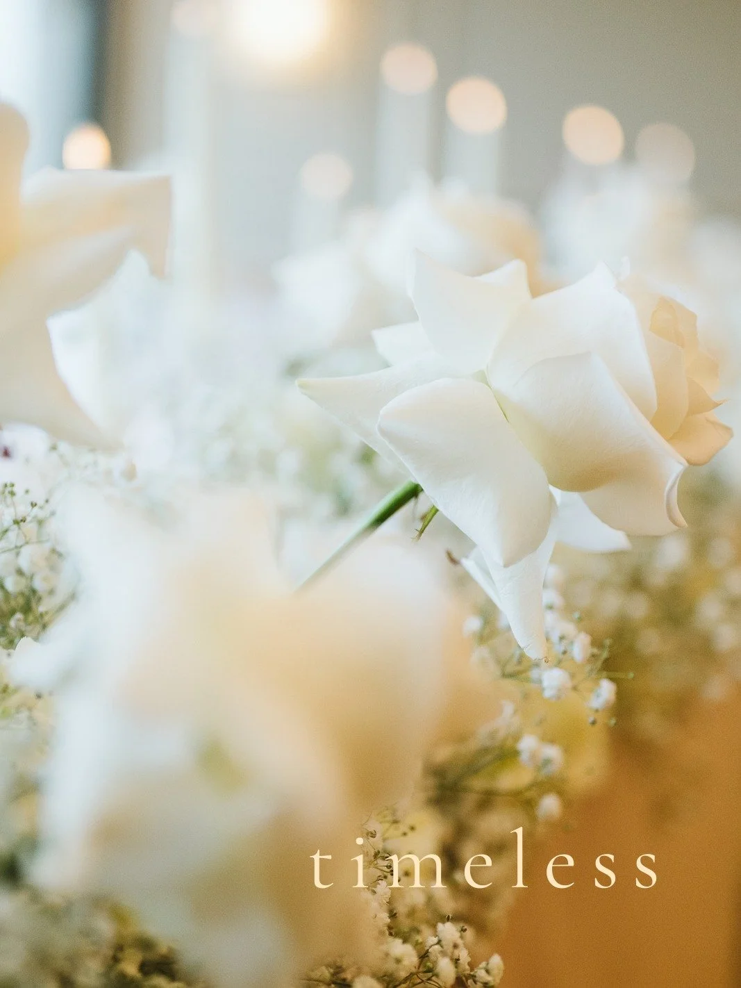 Timeless elegance that will forever be in style, beautifully curated. 

Reflexed ivory roses softly unfolding, each petal intentional - refined, romantic and endlessly elegant. 

Save for your wedding inspo.

Photo - @lavenhamphoto 
Venue - @marquis.