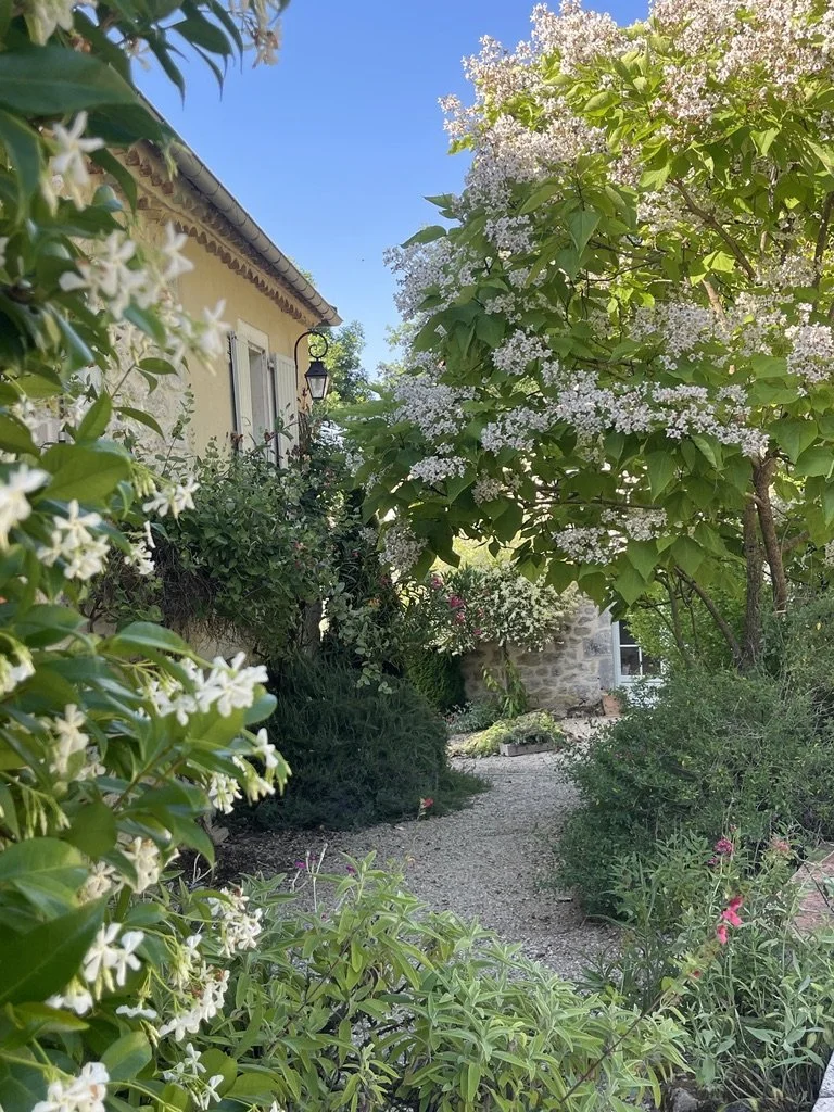 A garden with blooming white and pink flowers, a gravel pathway, a stone house wall, and an old-fashioned lantern hanging from the house eaves under a blue sky.