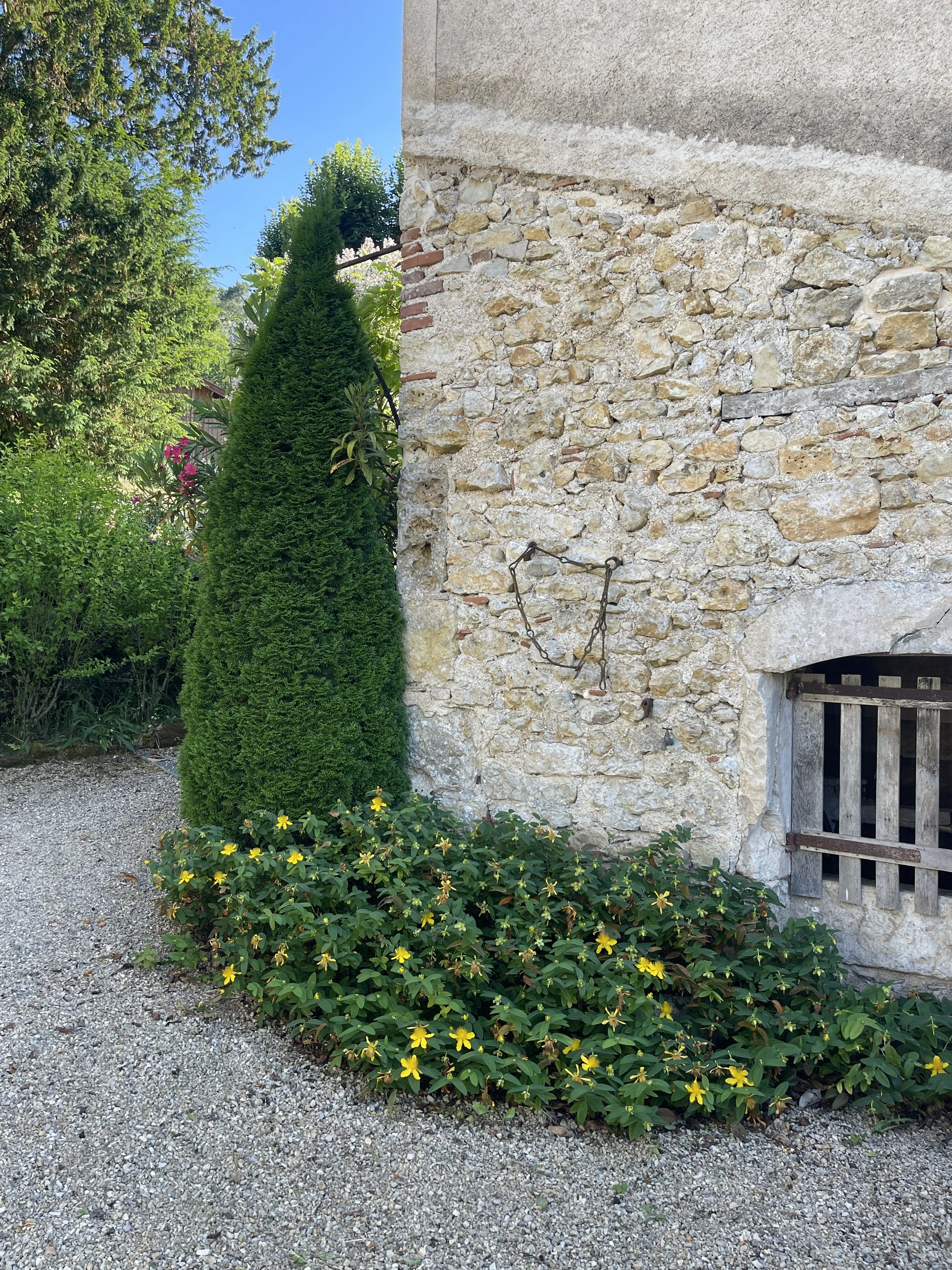 A stone wall with an old metal heart decoration hanging on it, next to a green conical shrub and a flowering plant with yellow blossoms, on a gravel surface under a clear blue sky.