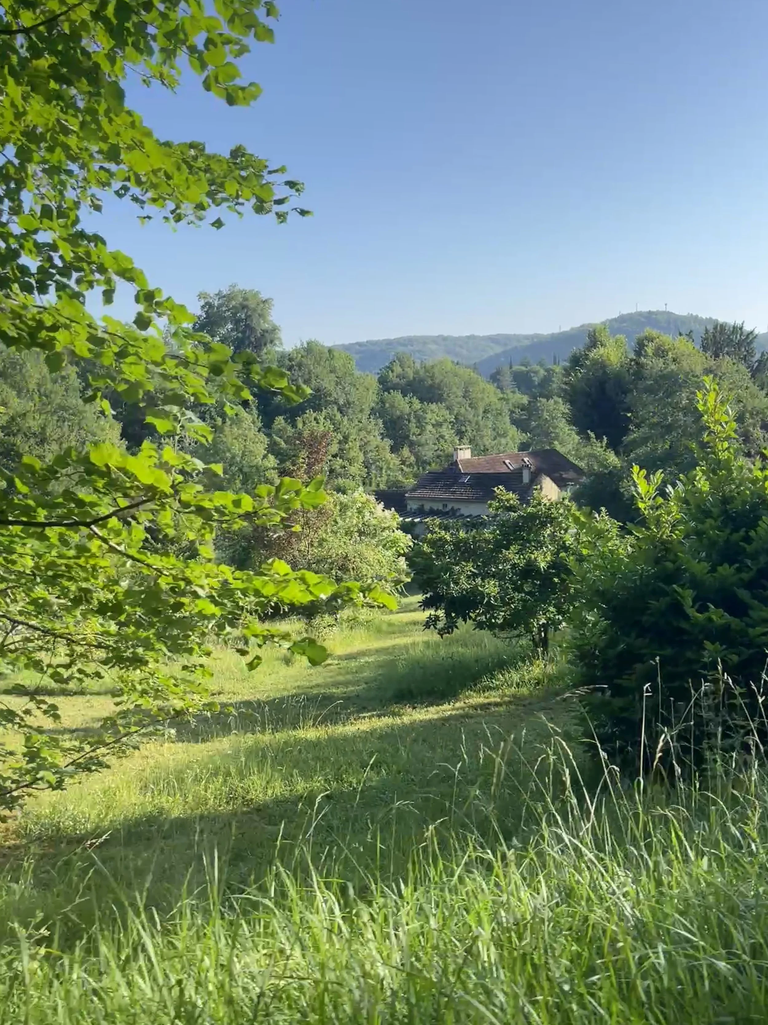 A lush green landscape with trees, grass, and a house in the distance under a clear blue sky.