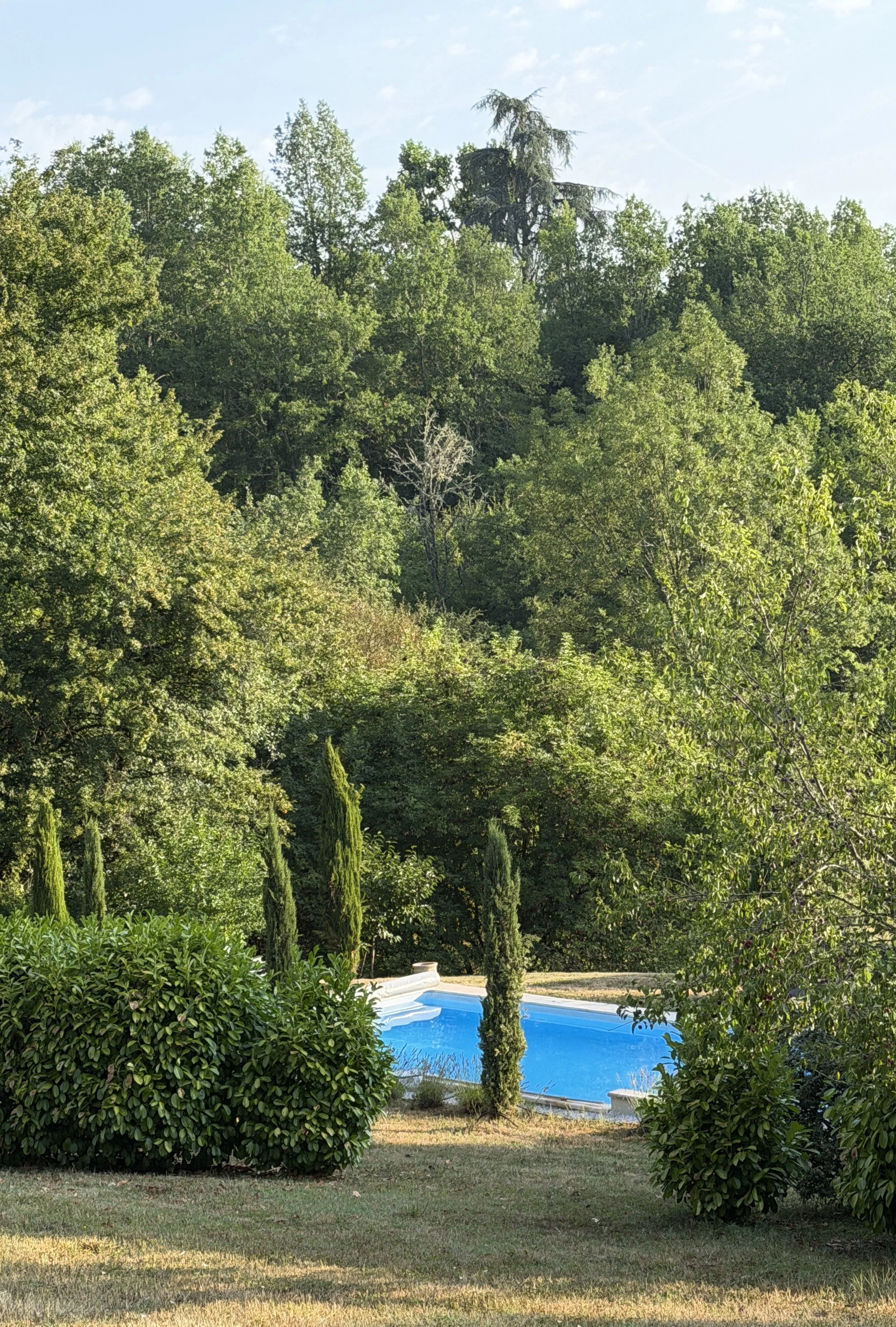 IMG_2112.jpeg