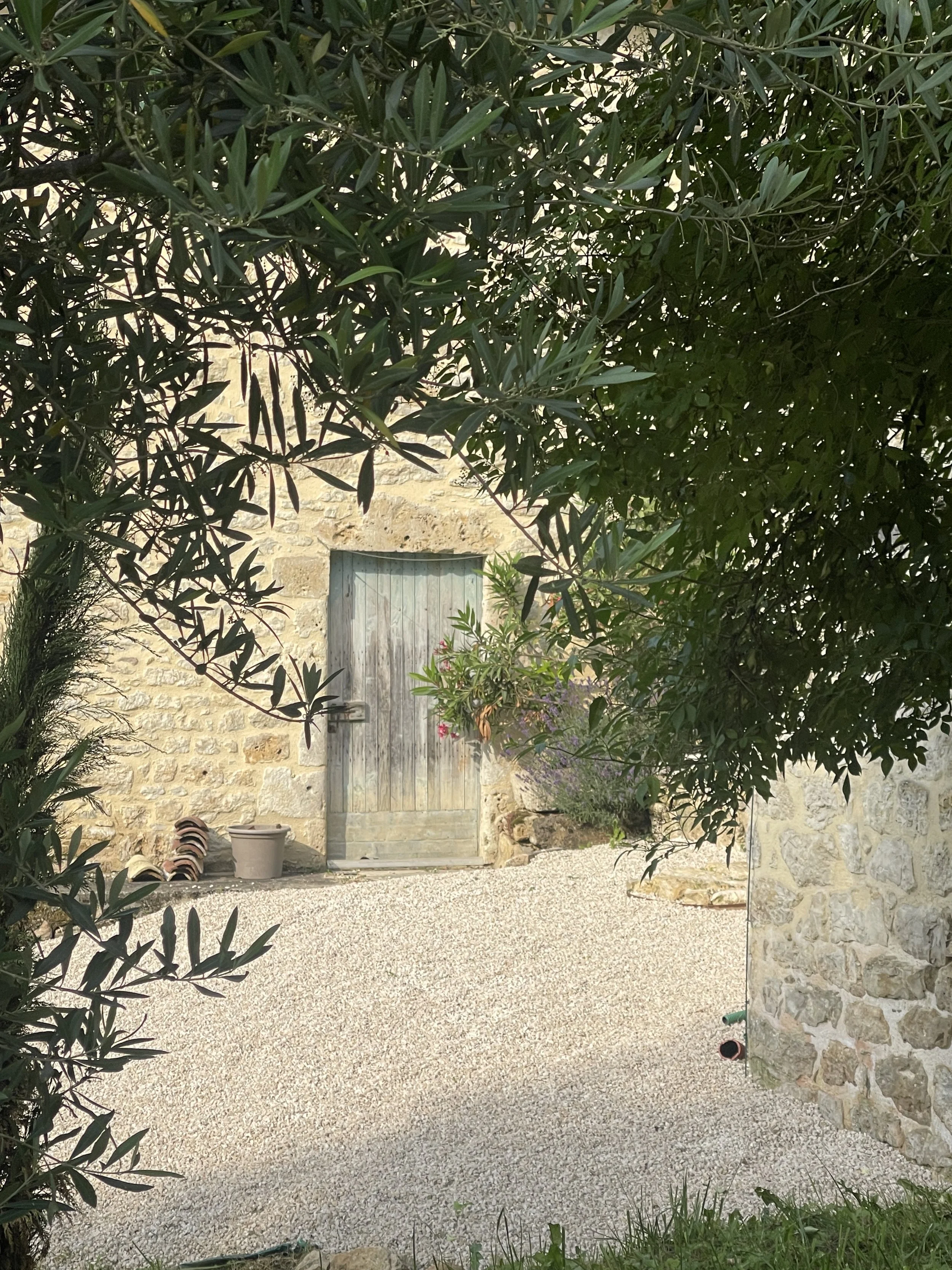 A stone courtyard with a weathered wooden door set into a stone wall, surrounded by greenery and flowering plants, with a gravel surface.