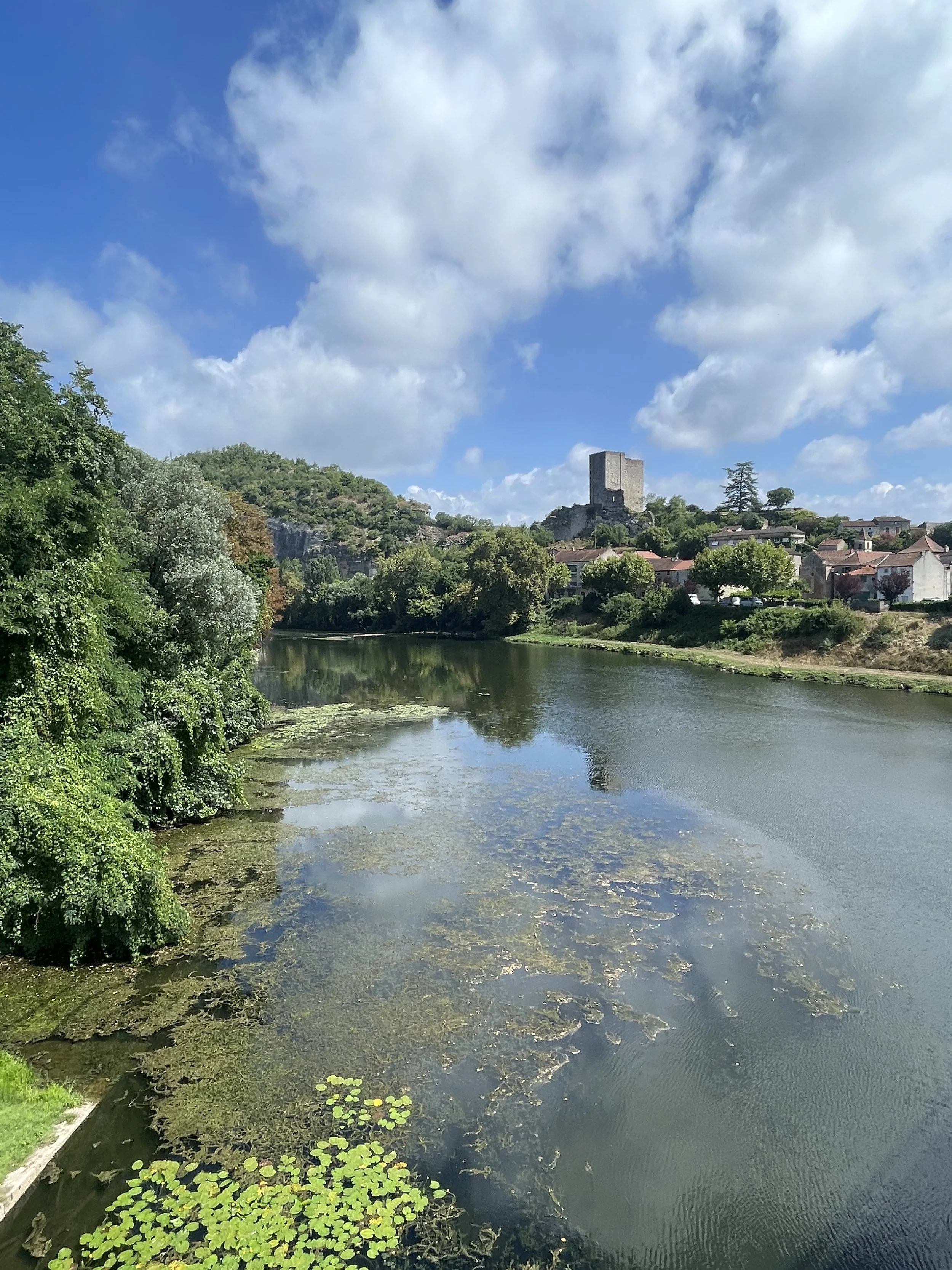 A river with lily pads and algae, surrounded by green trees and a village with a castle on a hill in the background, under a partly cloudy sky.