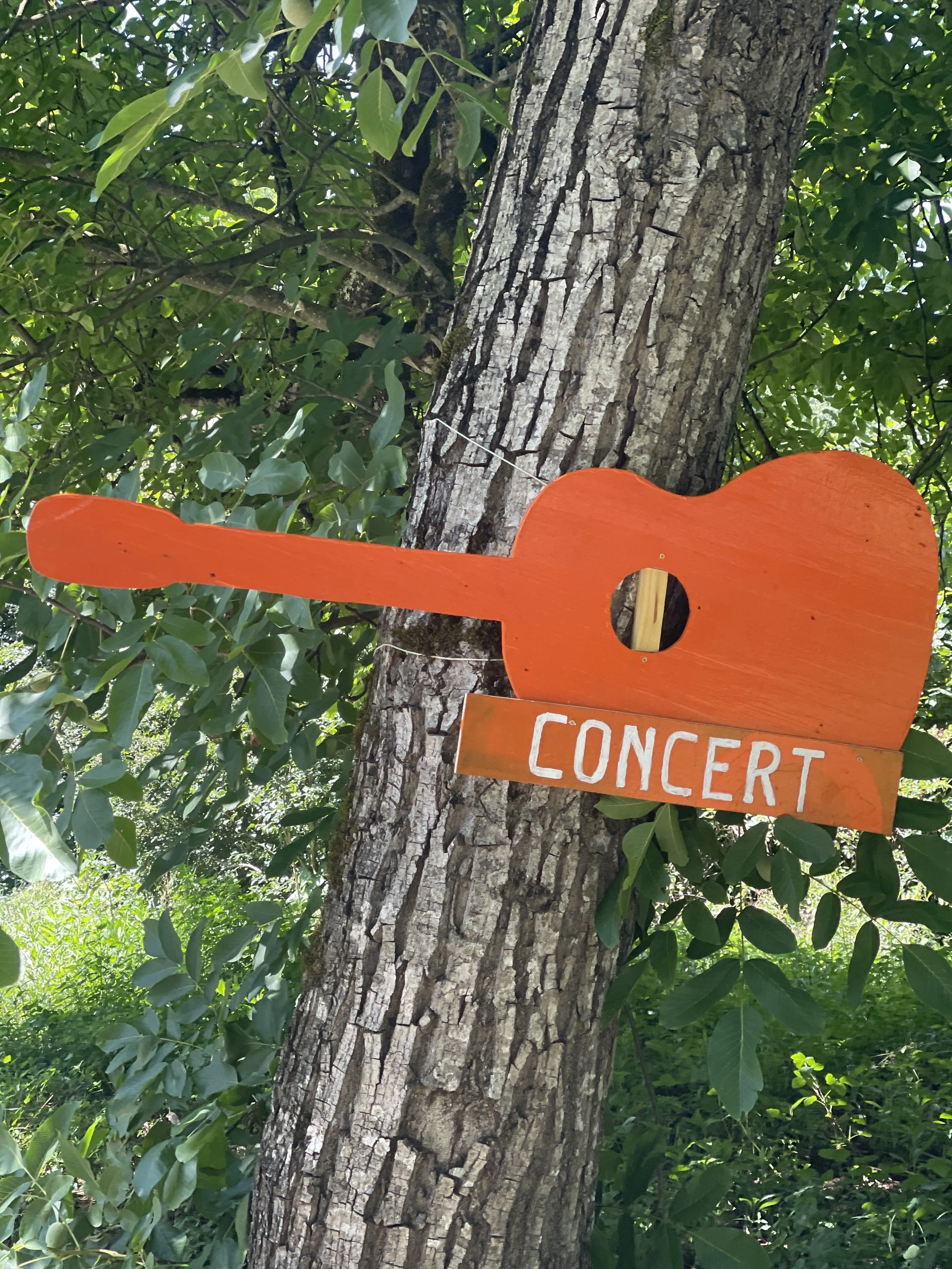 A wooden guitar-shaped sign painted orange with the word 'CONCERT' written on it, hanging on a tree with green leaves and bark visible.