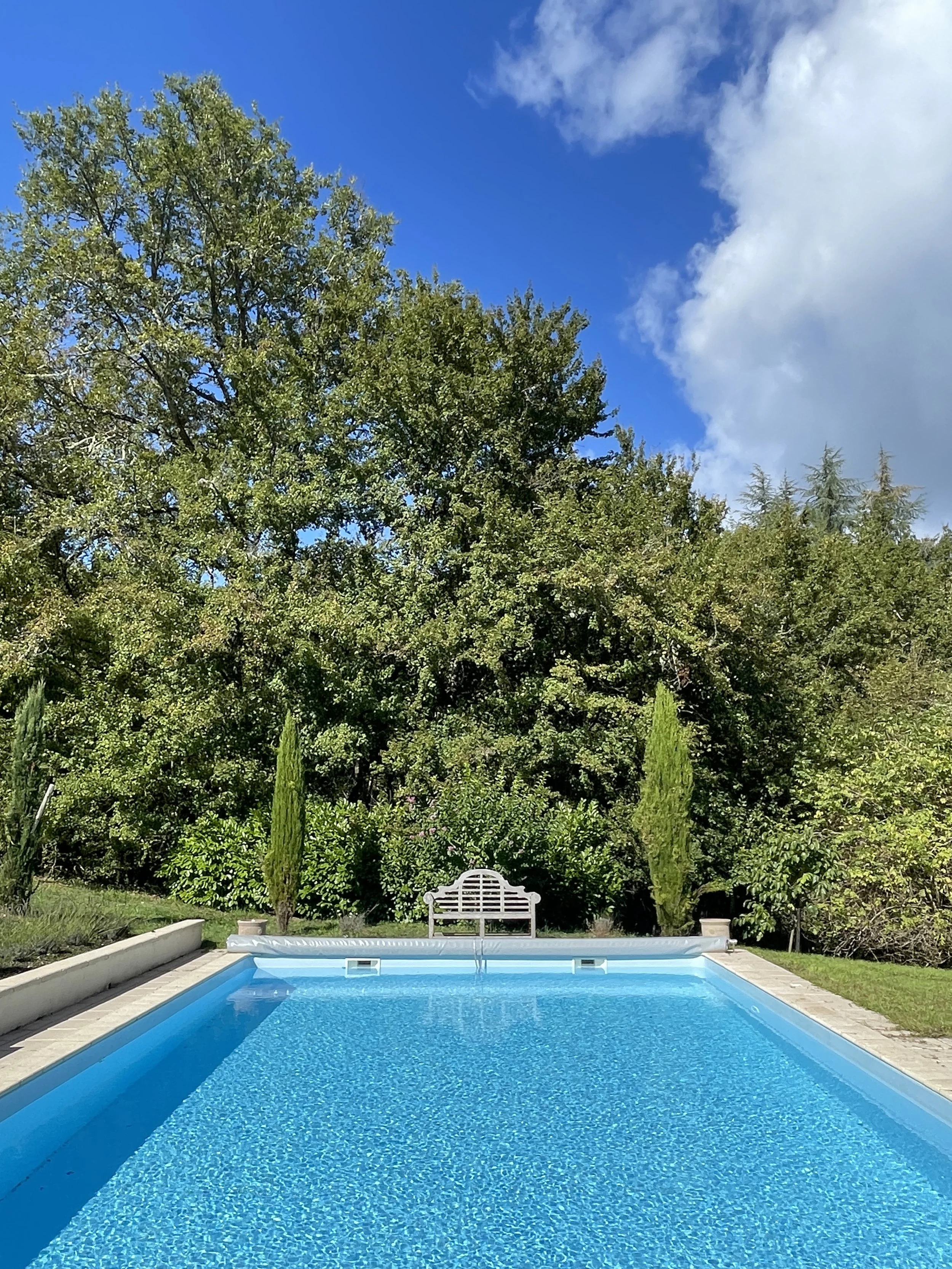 A backyard swimming pool with clear blue water, surrounded by a paved deck, green trees, and a white bench, under a partly cloudy sky.