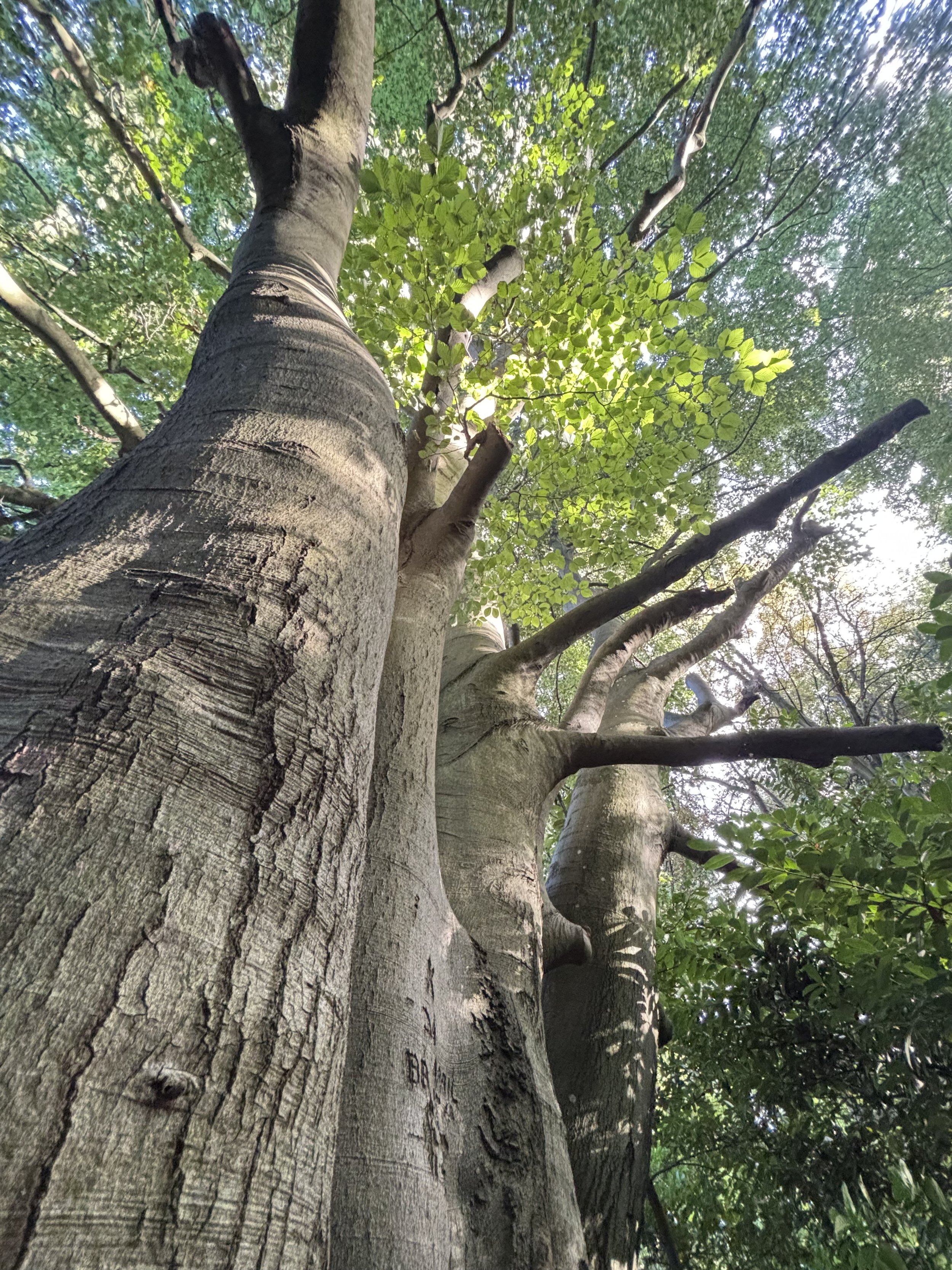 Apparently, I am a writer…