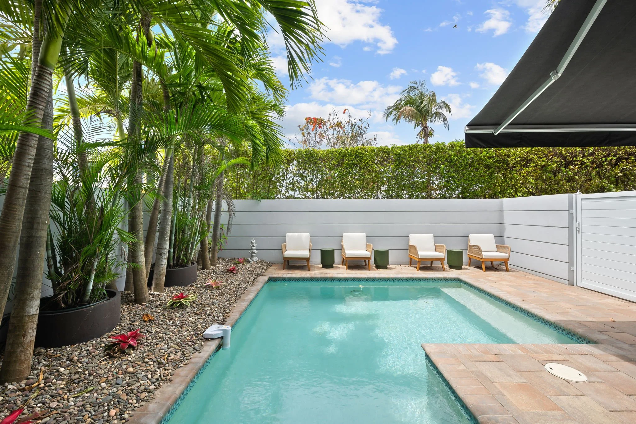 Private pool with lounge chairs and tropical privacy wall — luxury vacation rental, Sun Haven Collection.