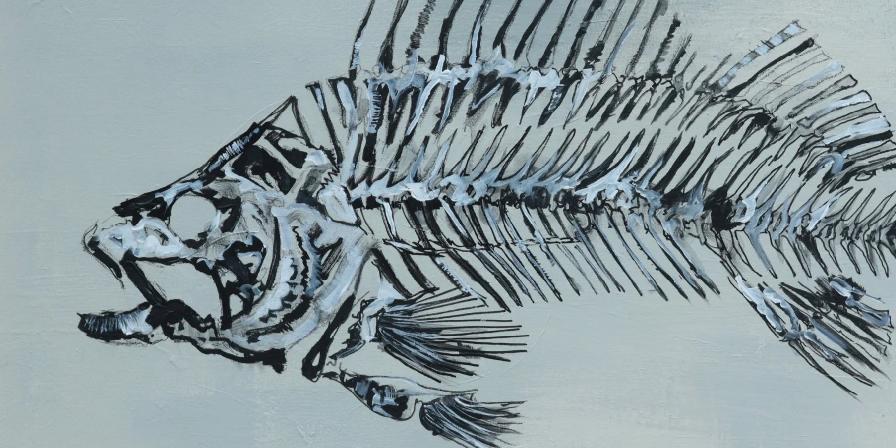 Painting of a fish skeleton in black ink on a light background.