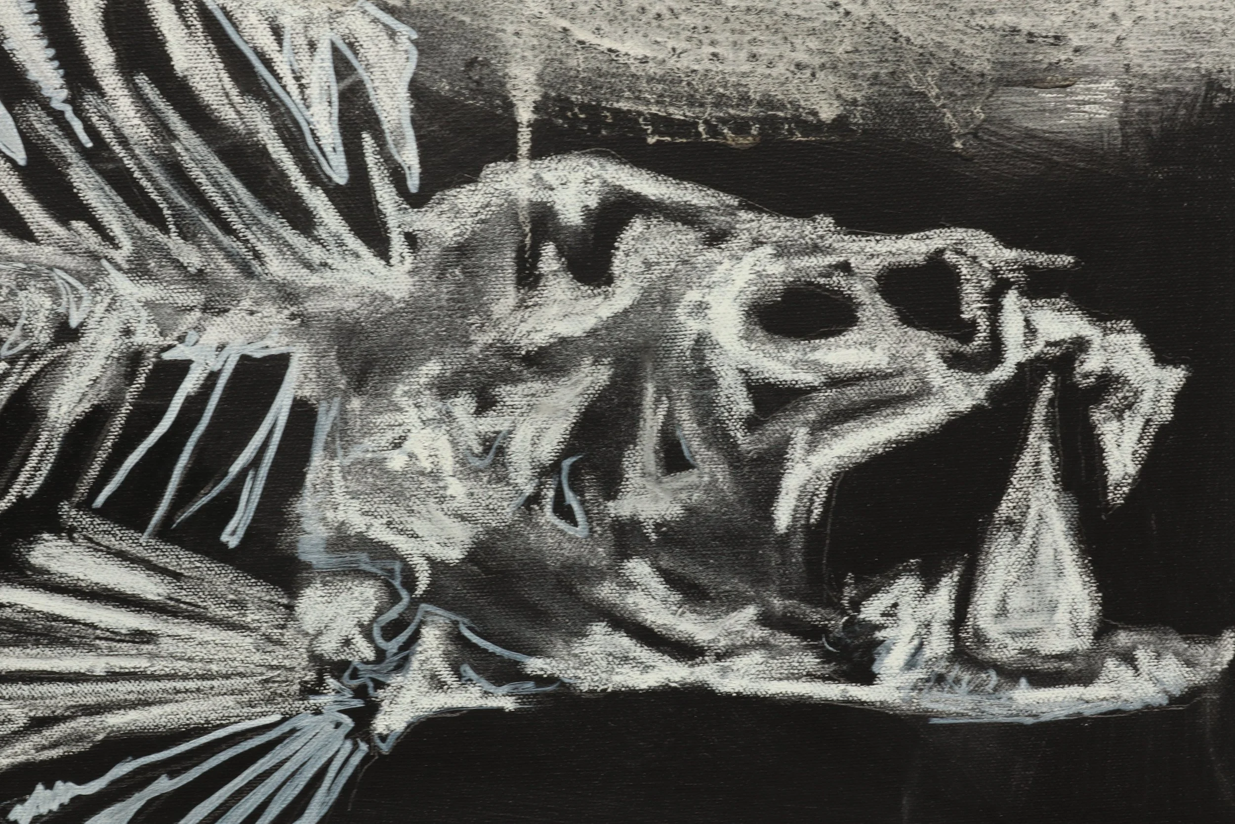 fish skeleton zoom ab.JPG