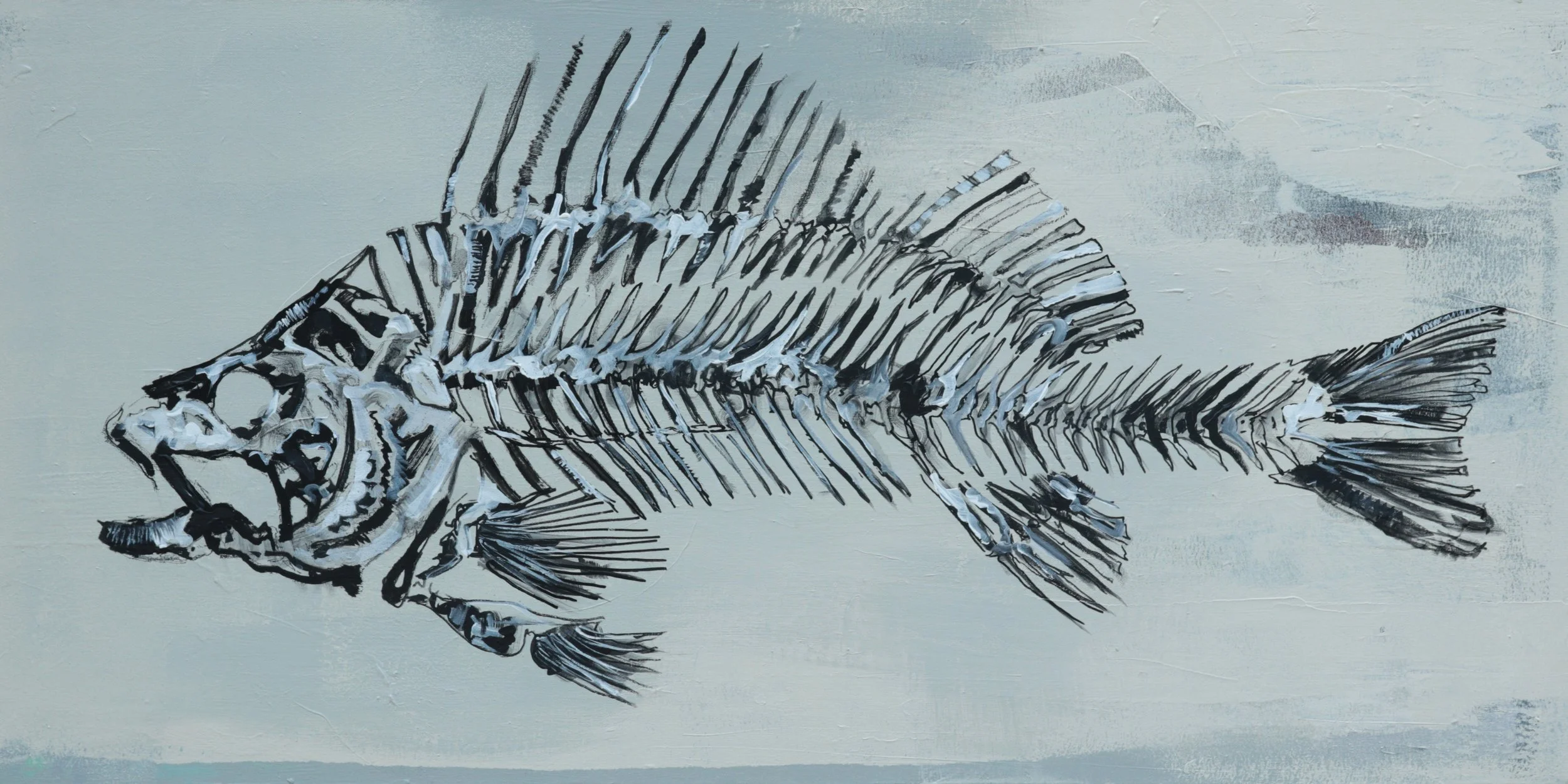 original fish skeleton.JPG