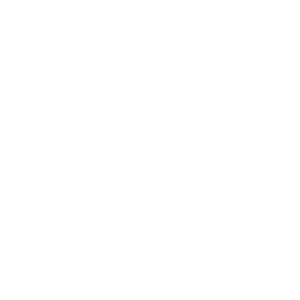 Marketing Programs and Channel Optimization including idnentifying most effective channels to maximize yield of marketing investment