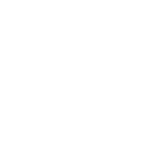 Interim CMO and operating partner,  ranges from status quo to full transformation based on client requirements