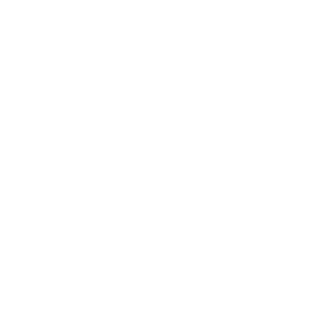 Leadership Advisory to help with strategic planning and provide insights