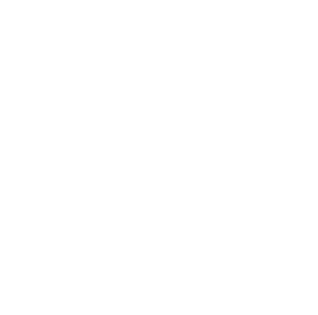 The company relies on data and analytics to ensure their marketing strategies optimize marketing and channel investments for investors