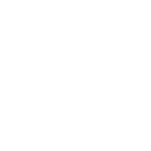 Team Development and Mentoring for go-to-market teams of 30 to >100, including identifying future leaders