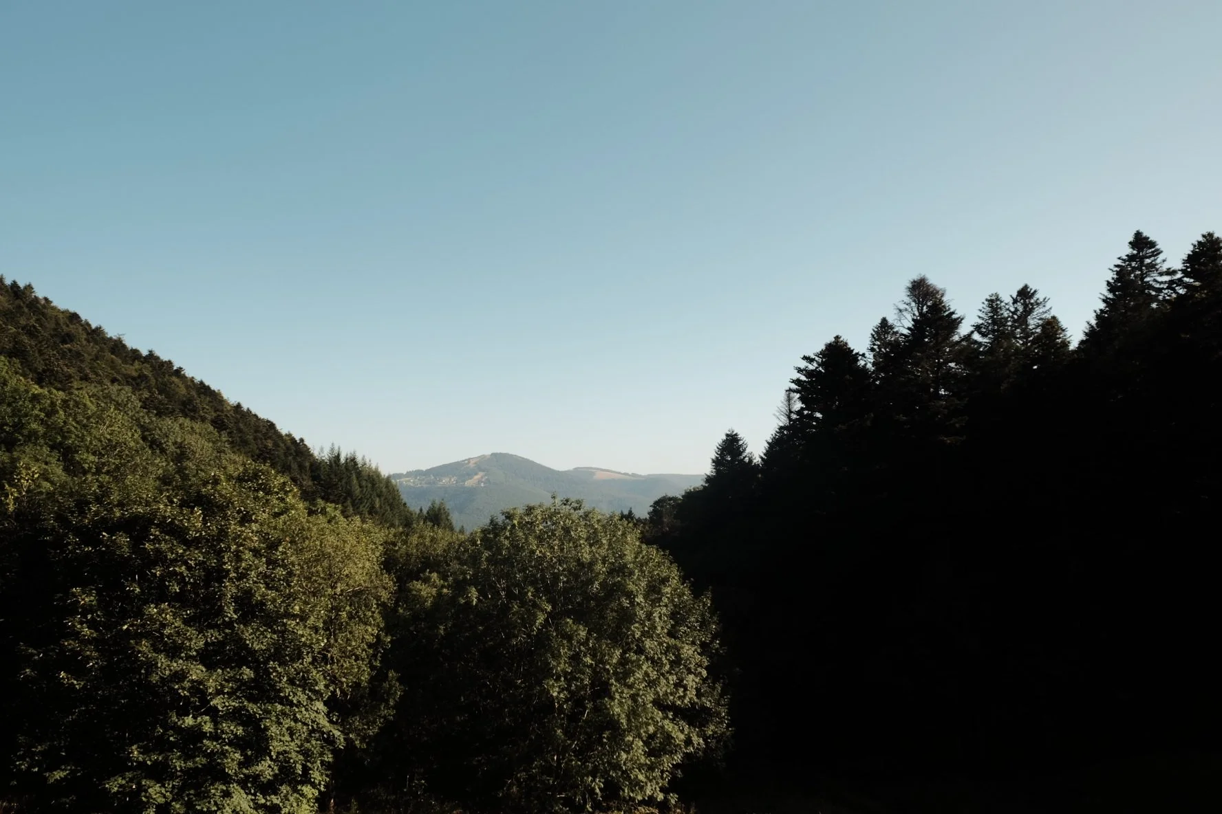 Nous concevons des espaces en harmonie avec la nature, en nous inspirant de ses rythmes, de ses matières et de son équilibre. Chaque projet est pensé avec le souci de respecter l’environnement, en privilégiant des choix durables et conscients. Créer